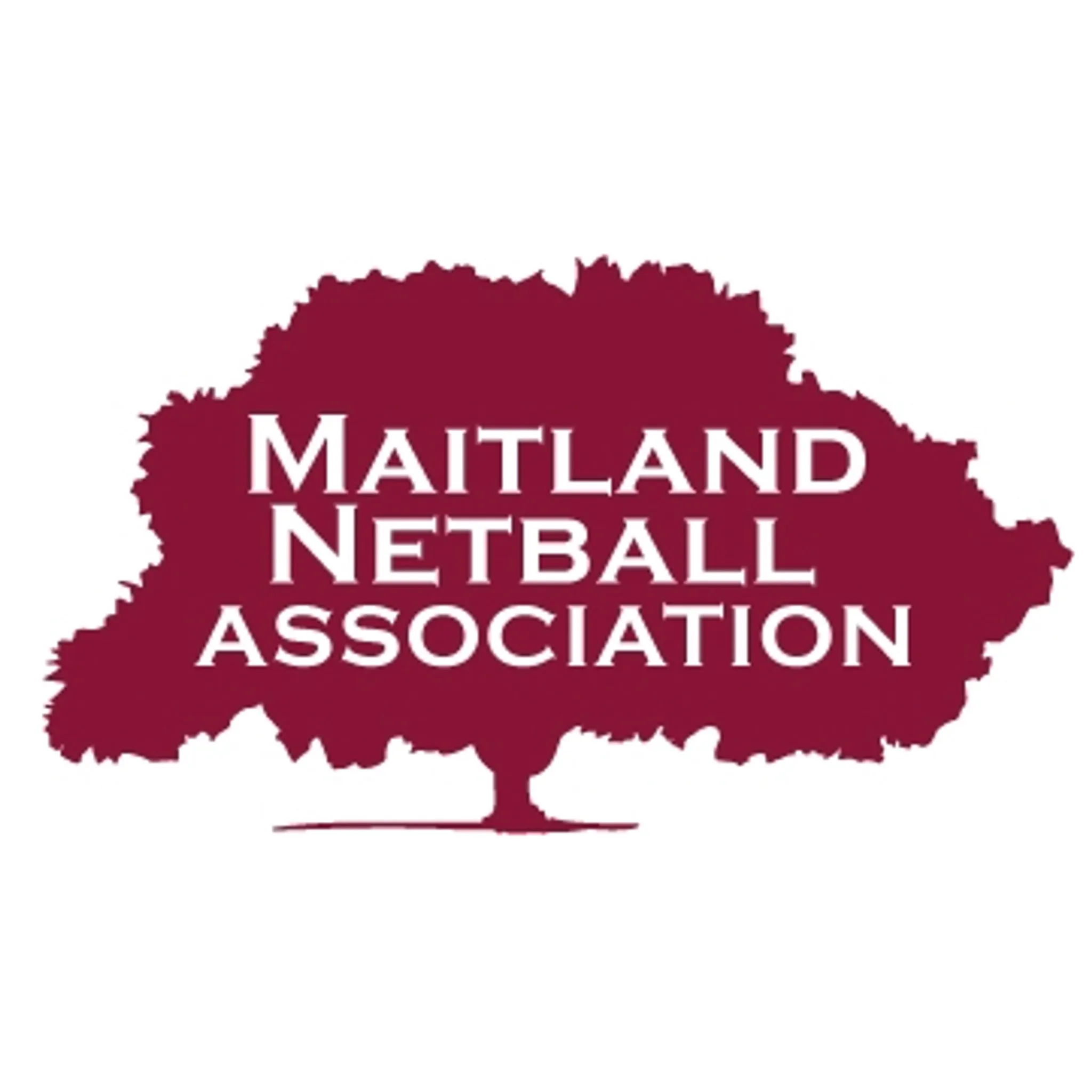 Robbuild Netball Club