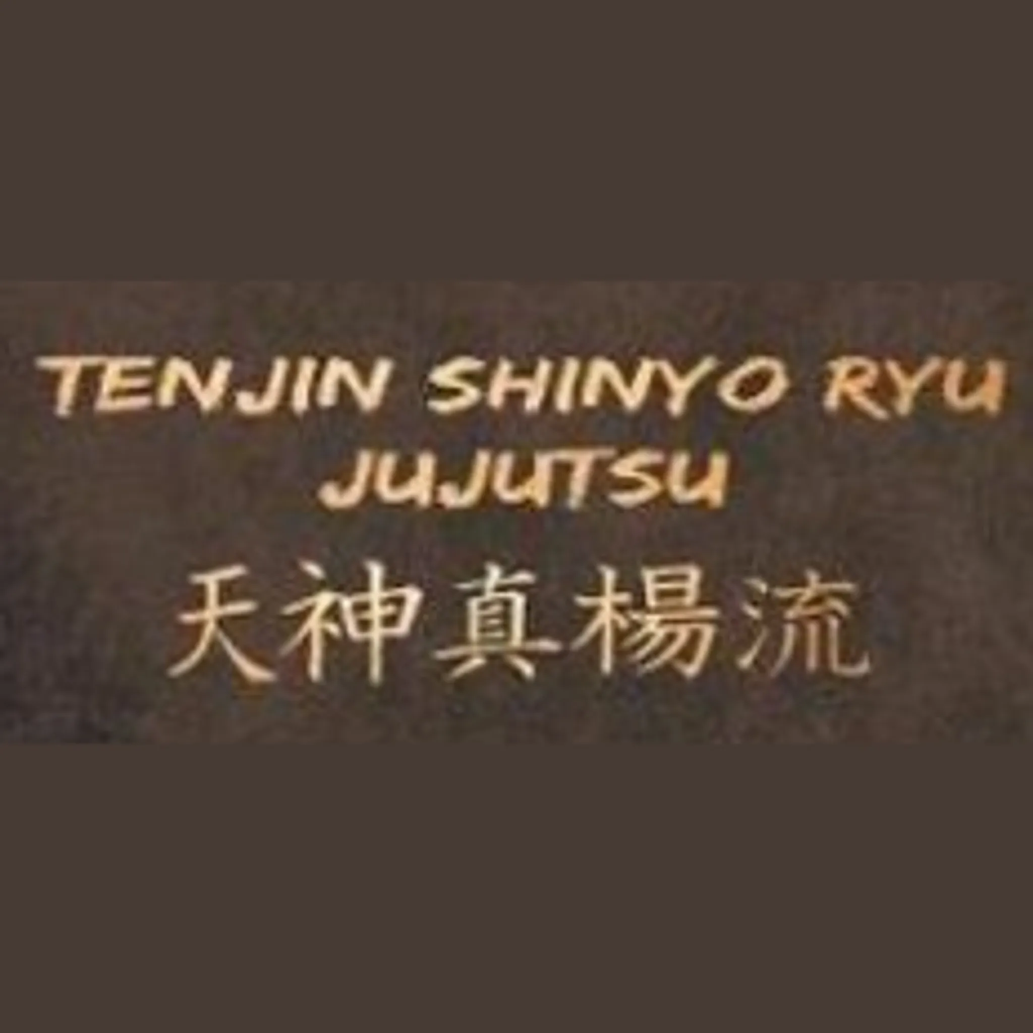 Tenjin Shinyo Ryu Jujutsu