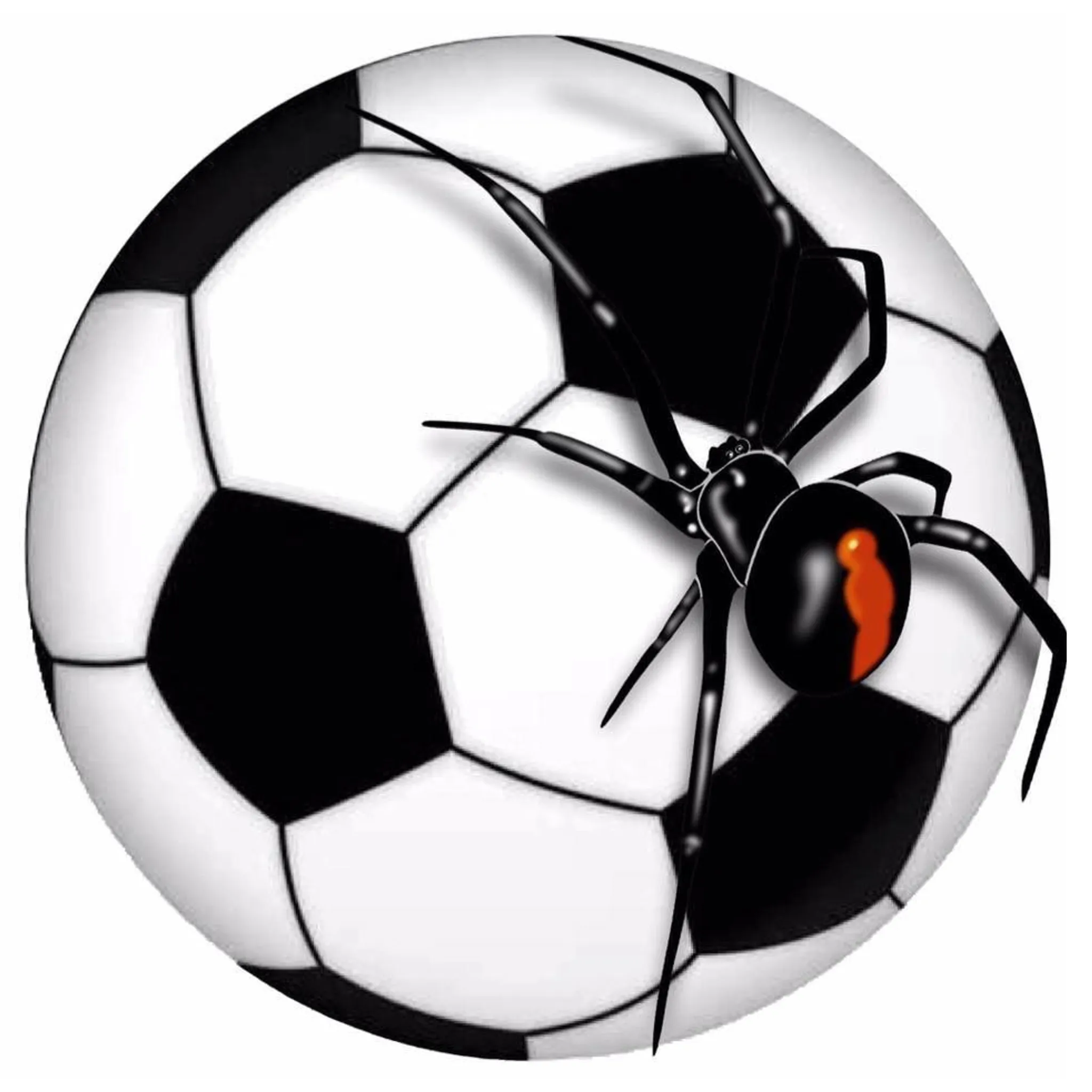 Buninyong Redbacks Soccer Club