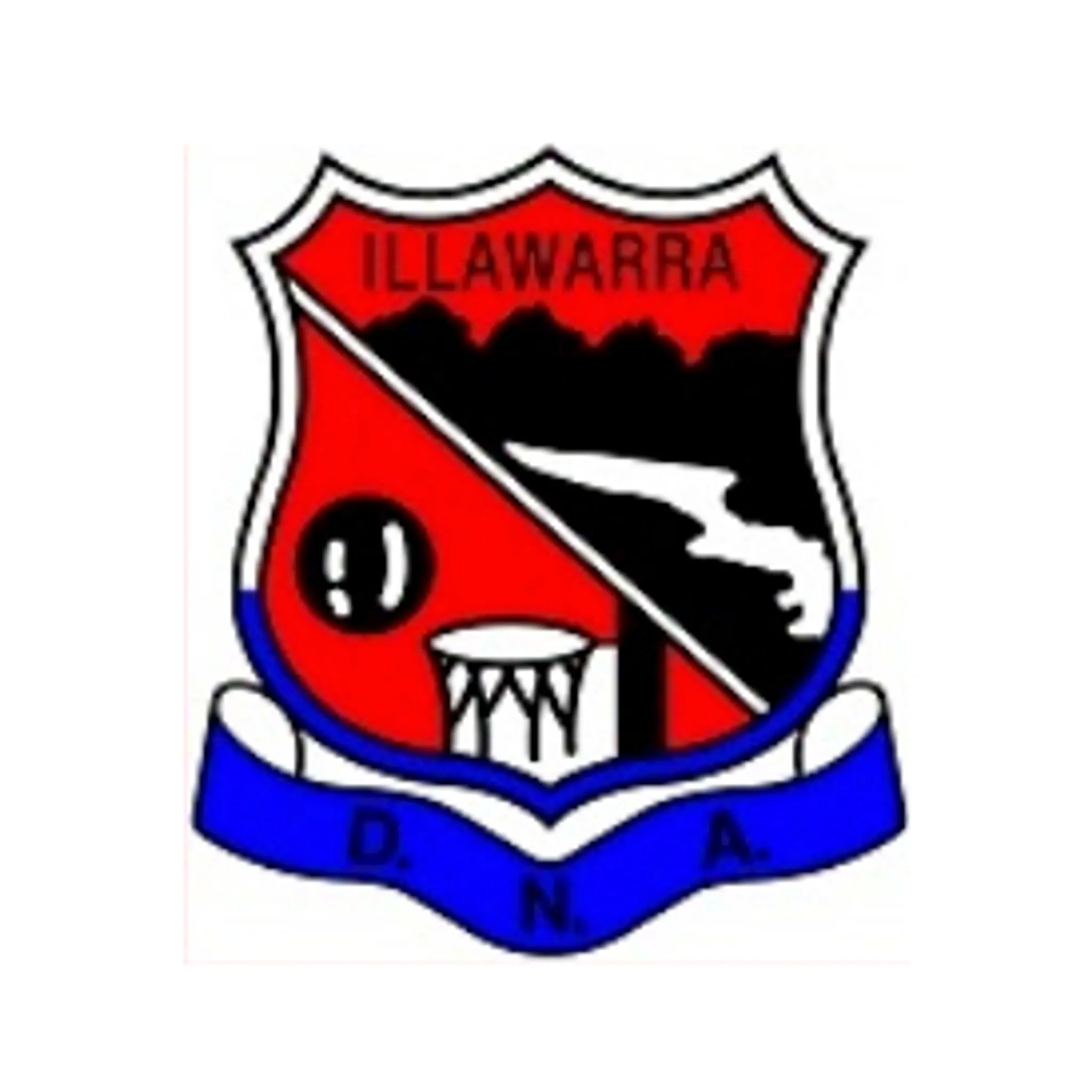 Illawarra District Netball Association