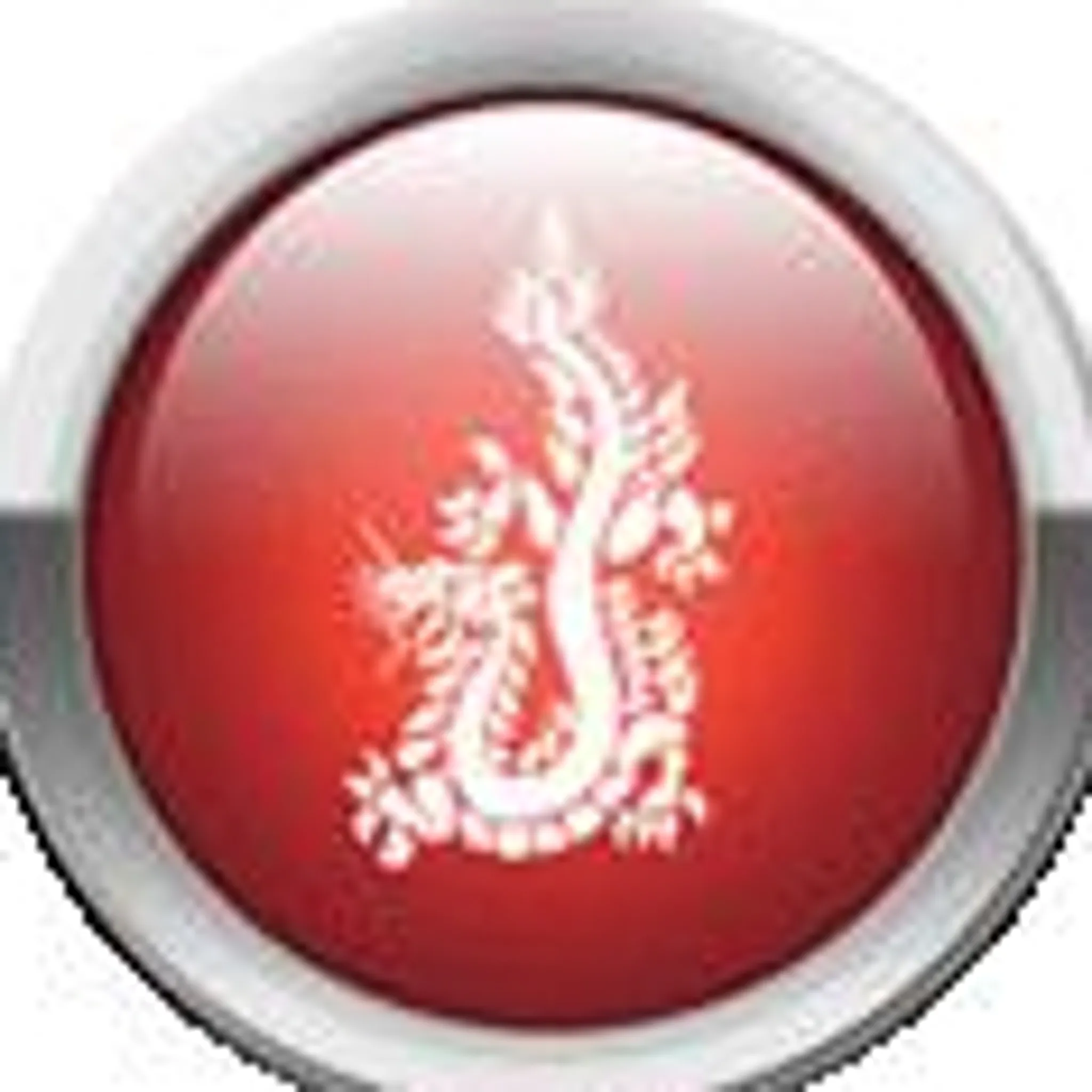 Zen Do Kai - Toowoomba West