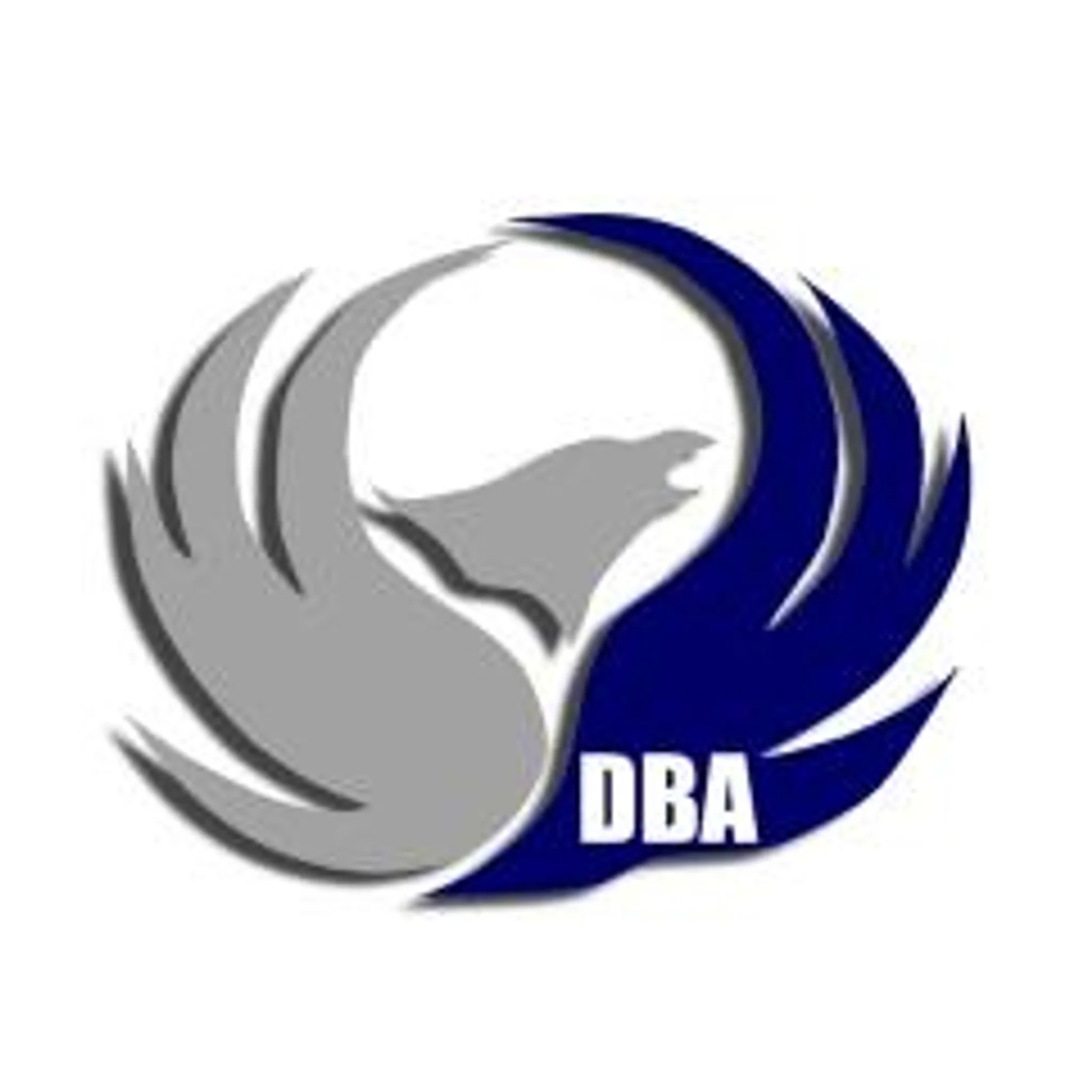 Darebin Basketball Association