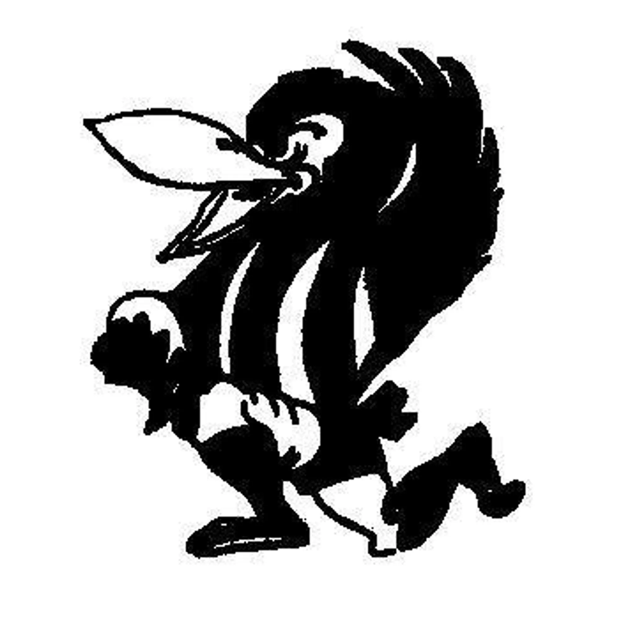 Coorow Latham Netball Club