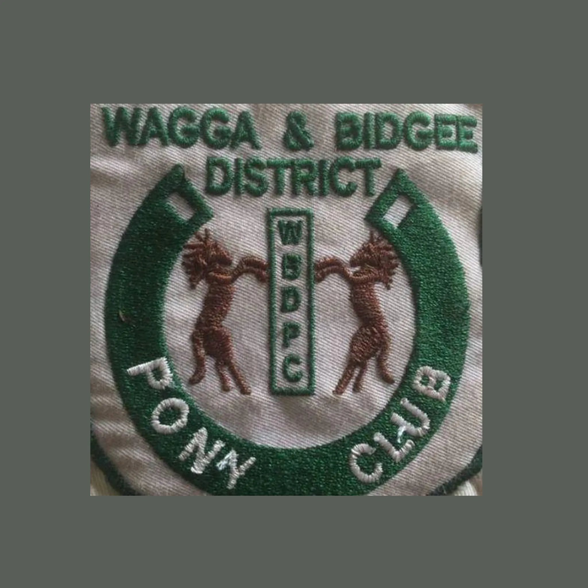 Wagga & Bidgee District Pony Club