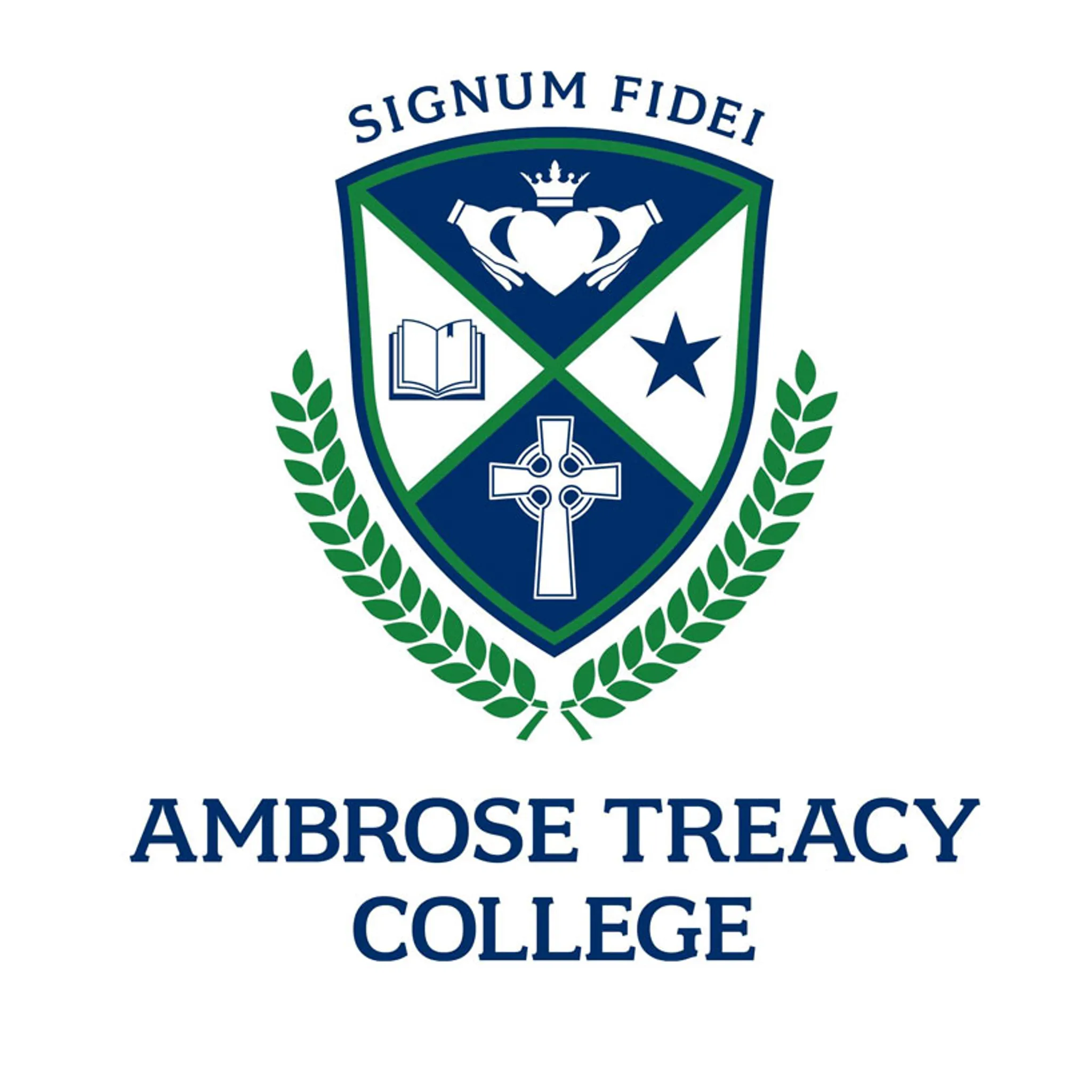 Ambrose Treacy College Swimming