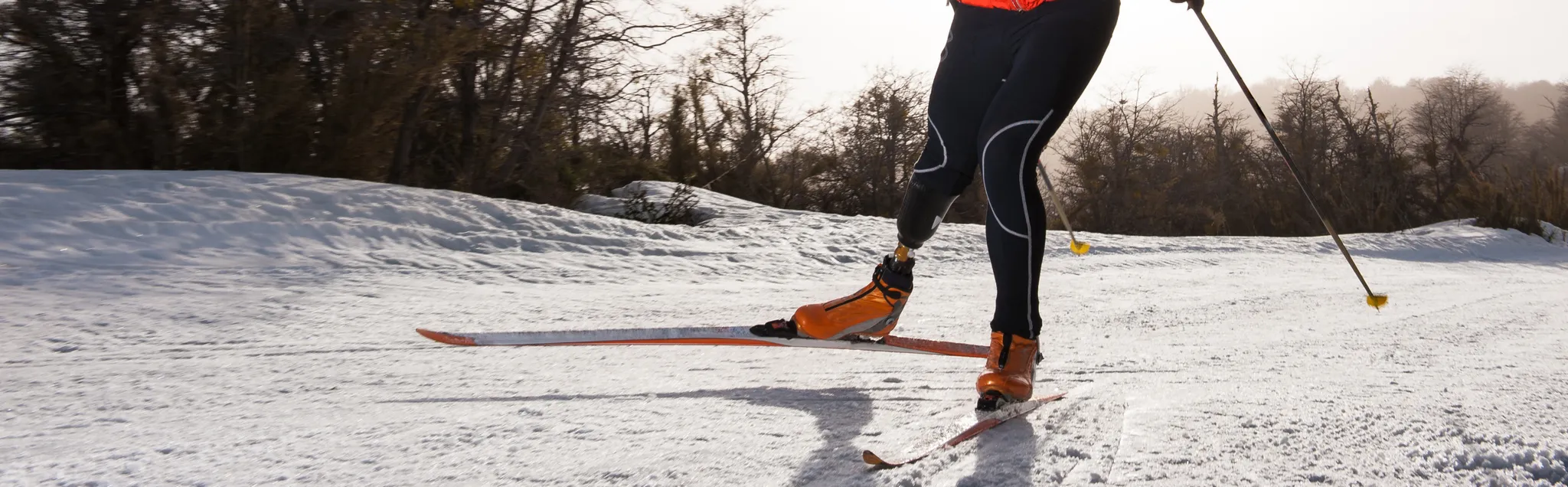 Para Alpine Skiing banner