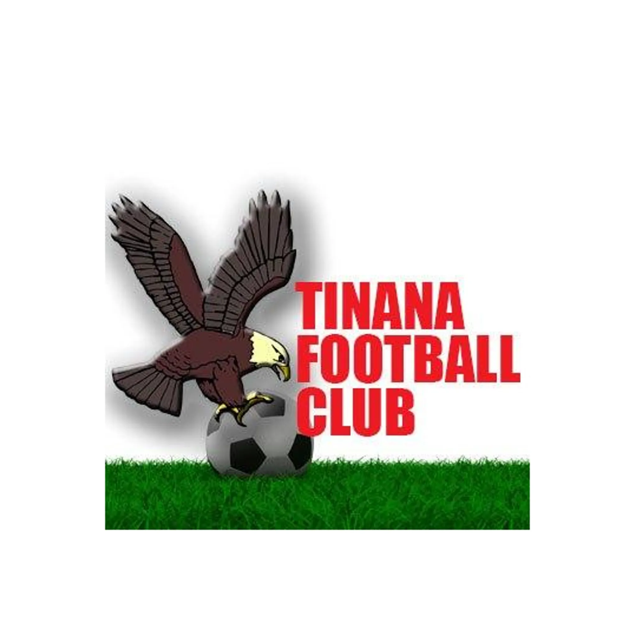 Tinana Football Club Inc