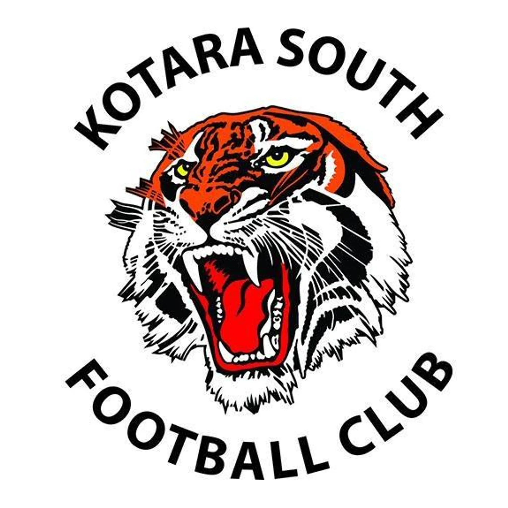 Kotara South FC