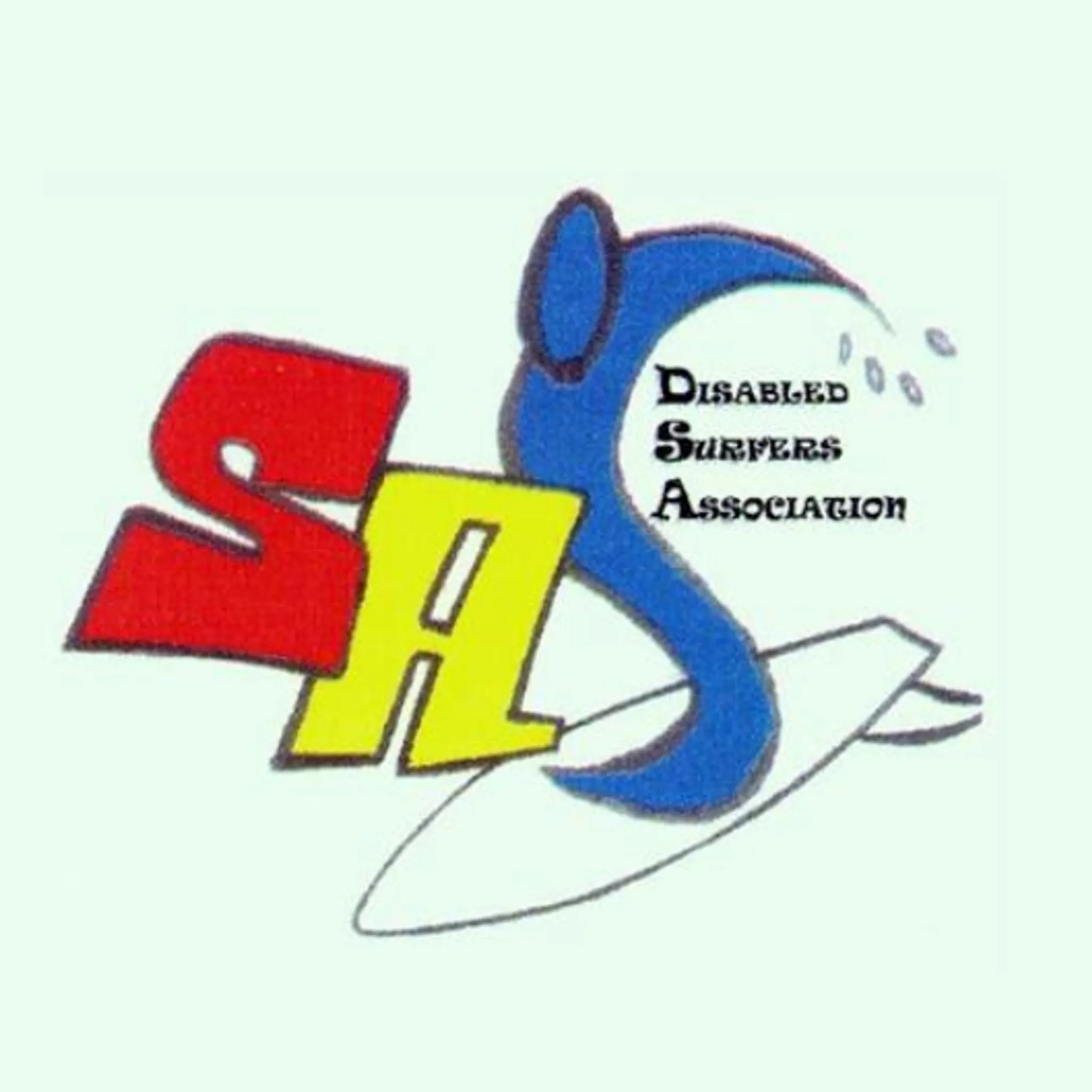 Disabled Surfers Association SA