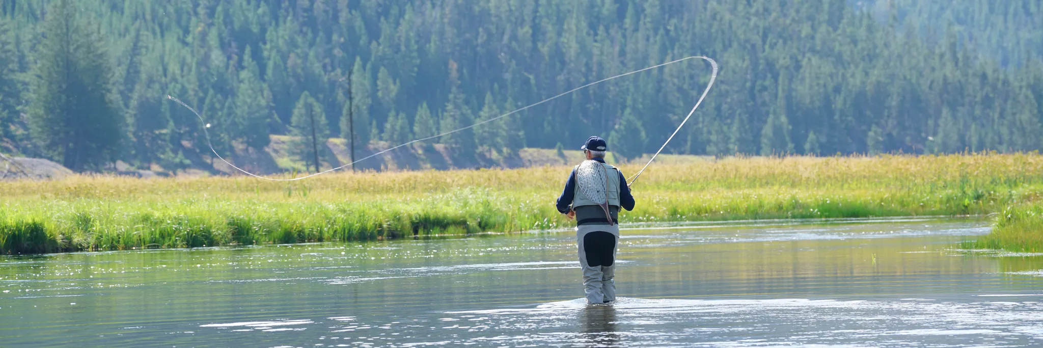 Learn The Basics of Fly Fishing Learn The Basics of Fly Fishing