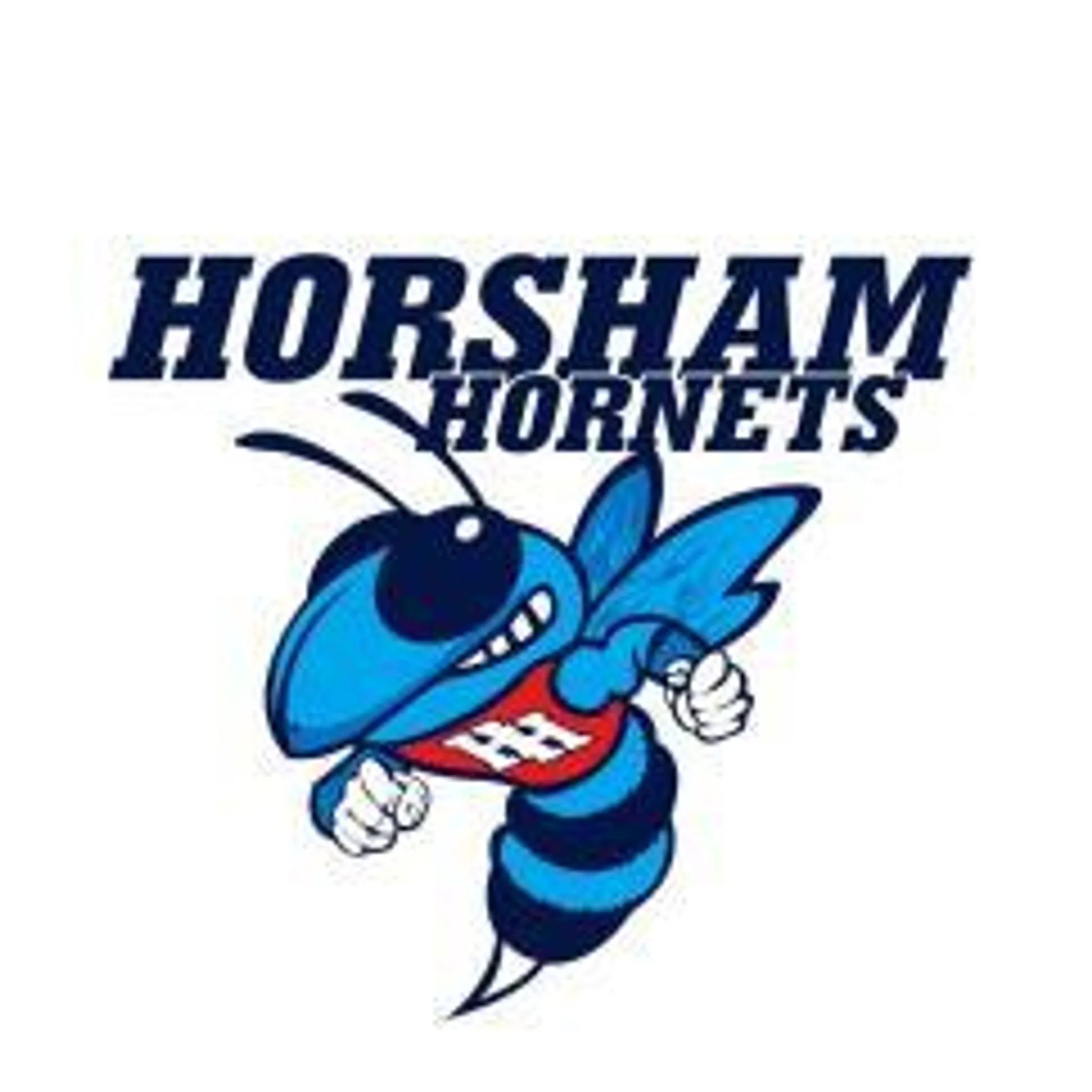 Horsham Amateur Basketball Association