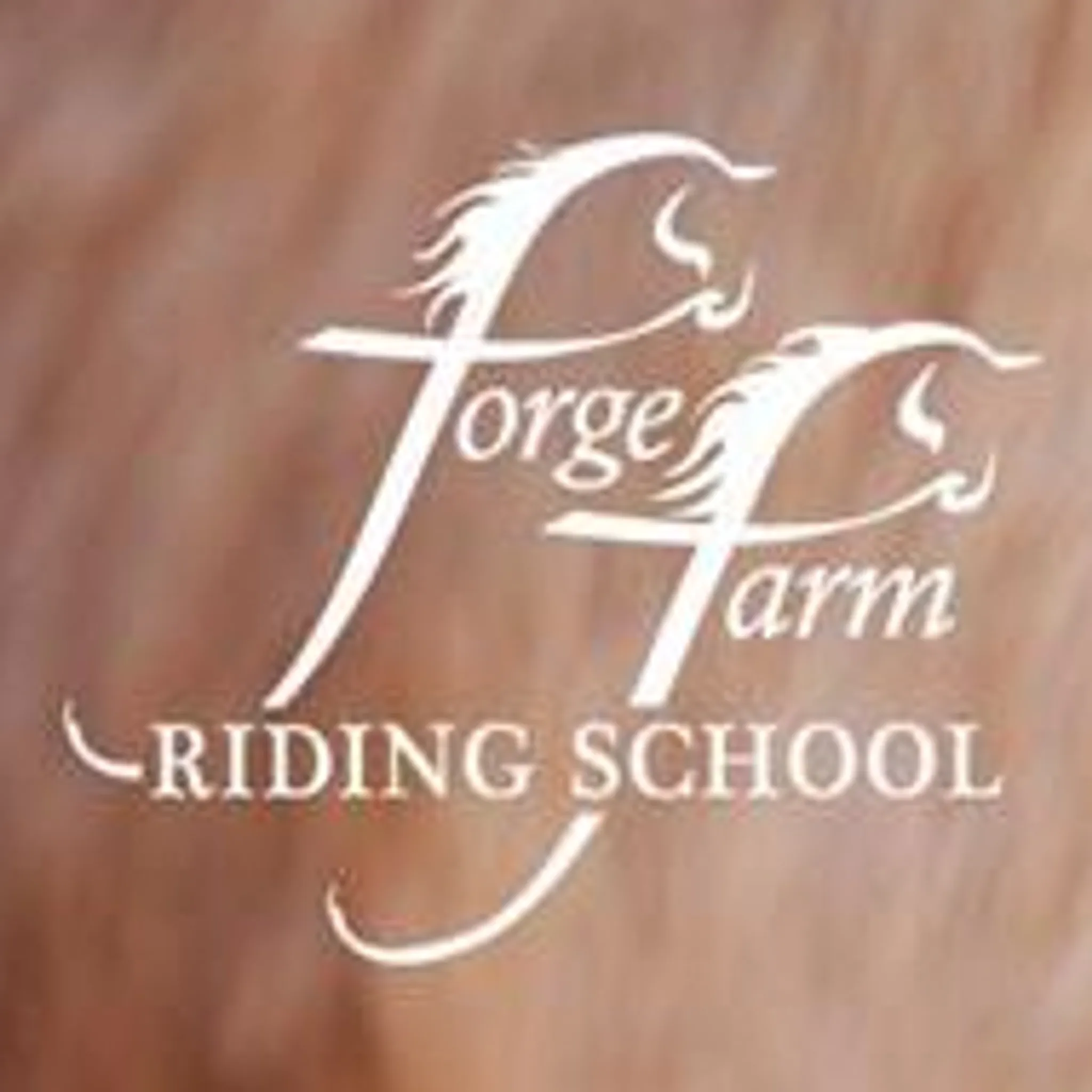 Forge Farm Riding School