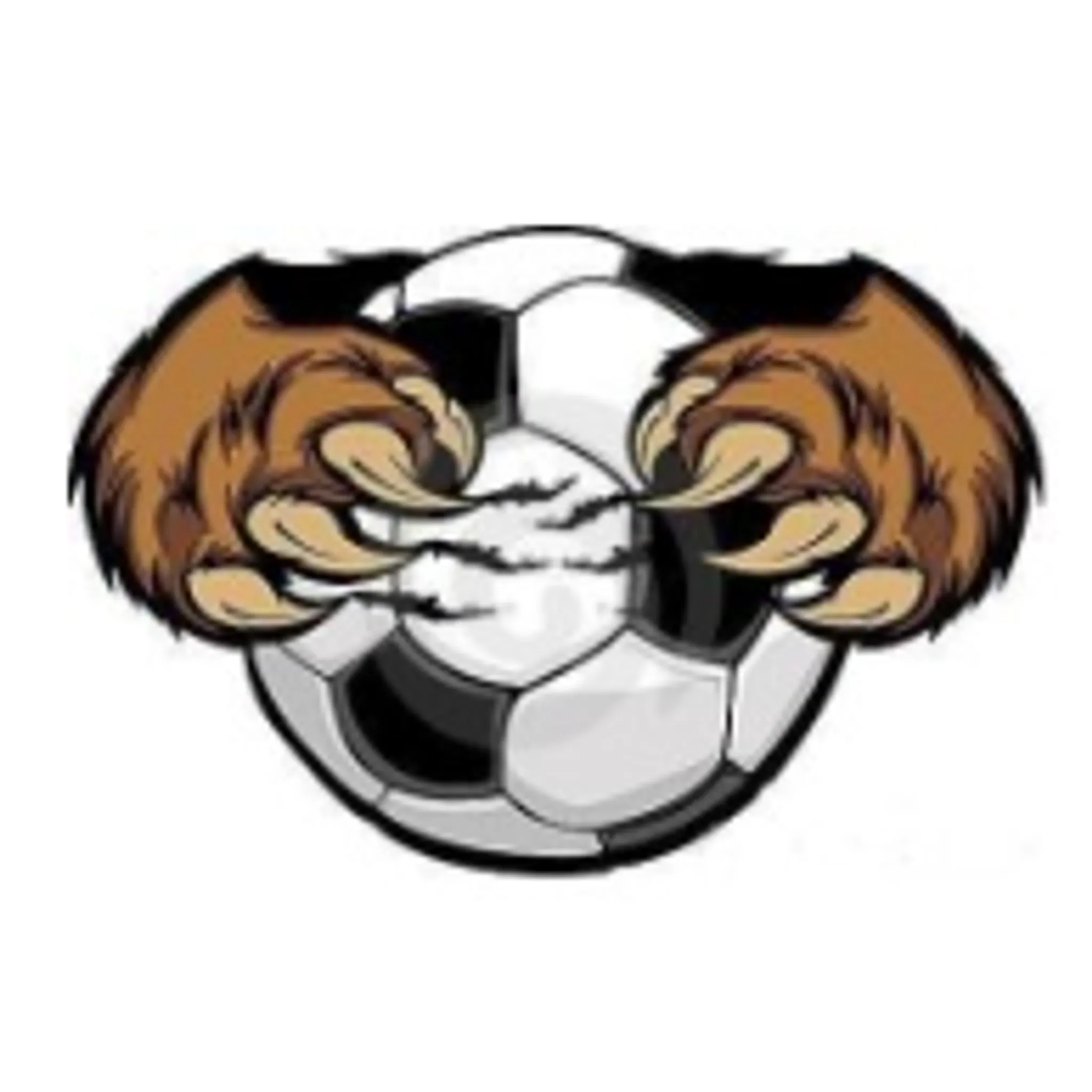 Gundaroo Bullocks FC