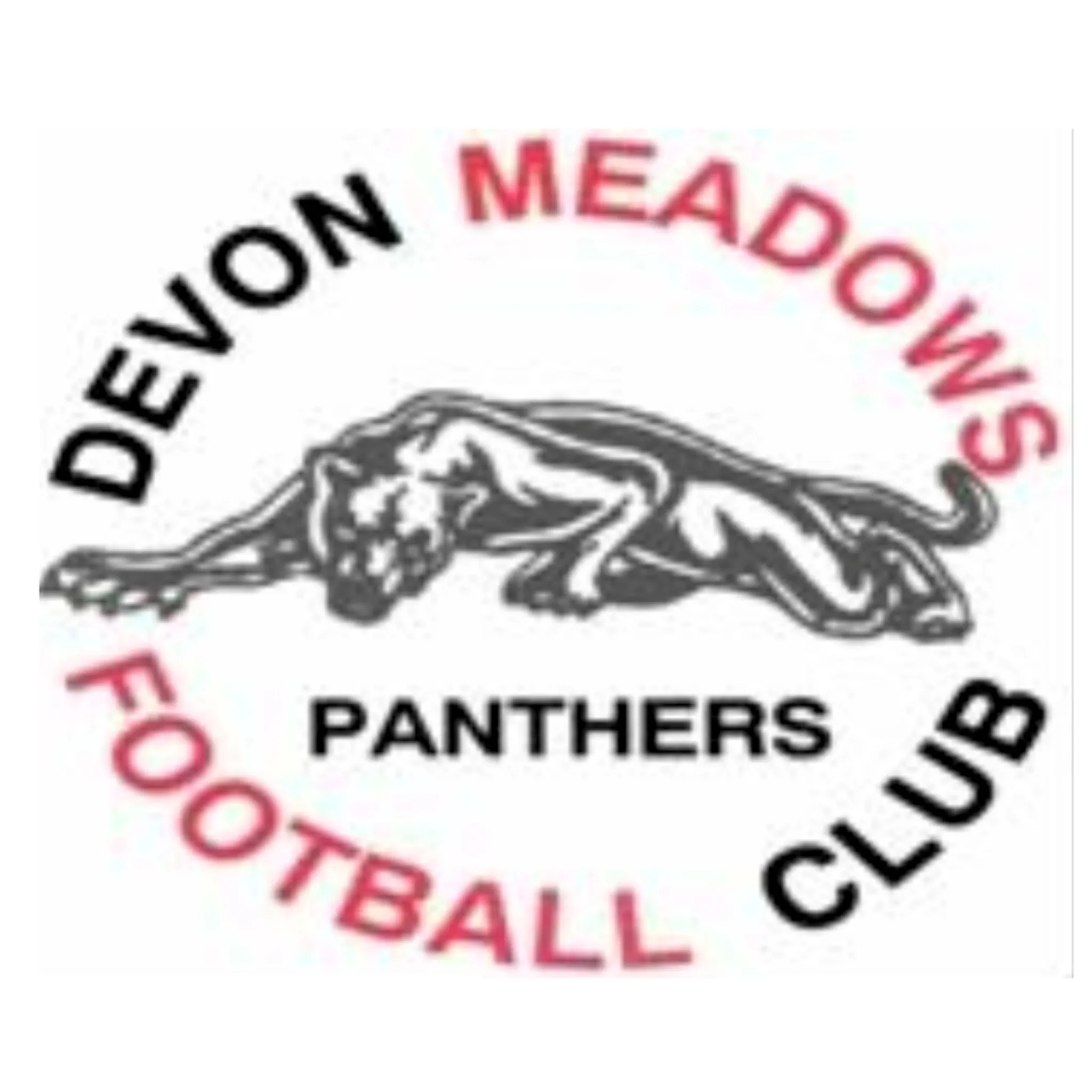 Devon Meadows Football Netball Club