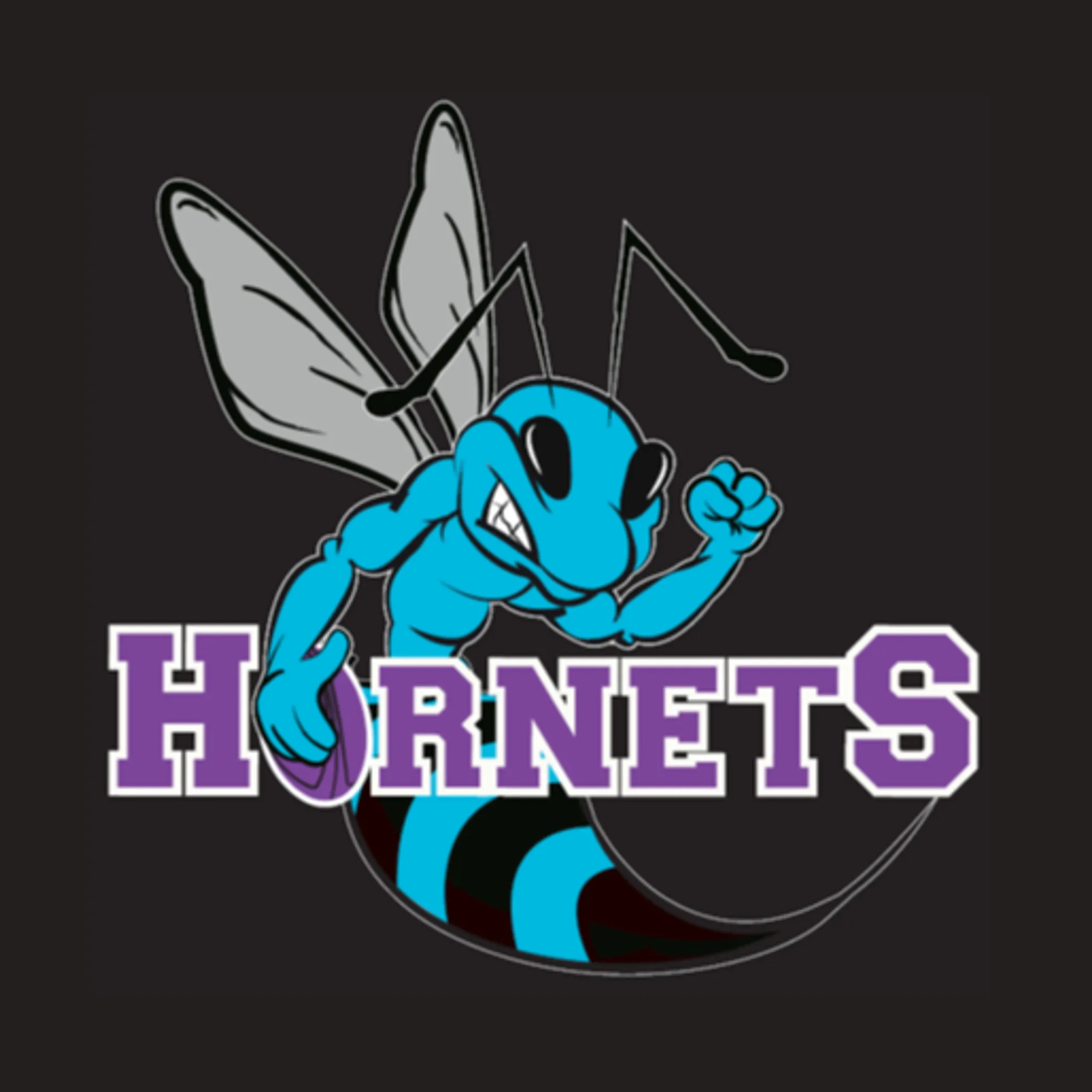 Hunter Western Hornets Regional Touch