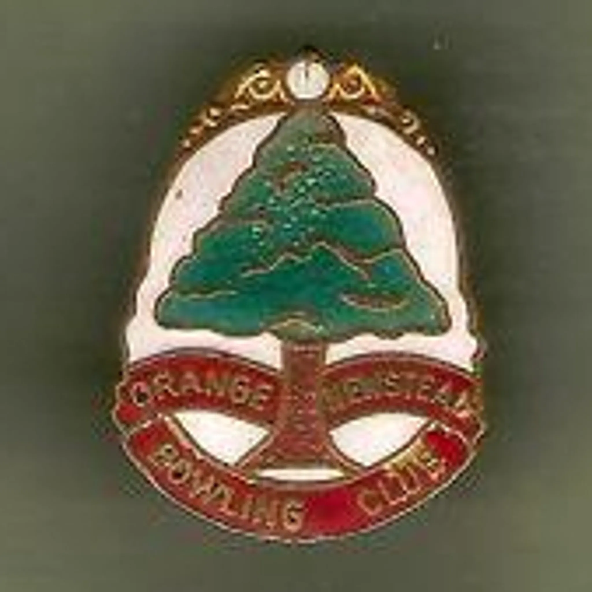 Orange Newstead Bowling Club