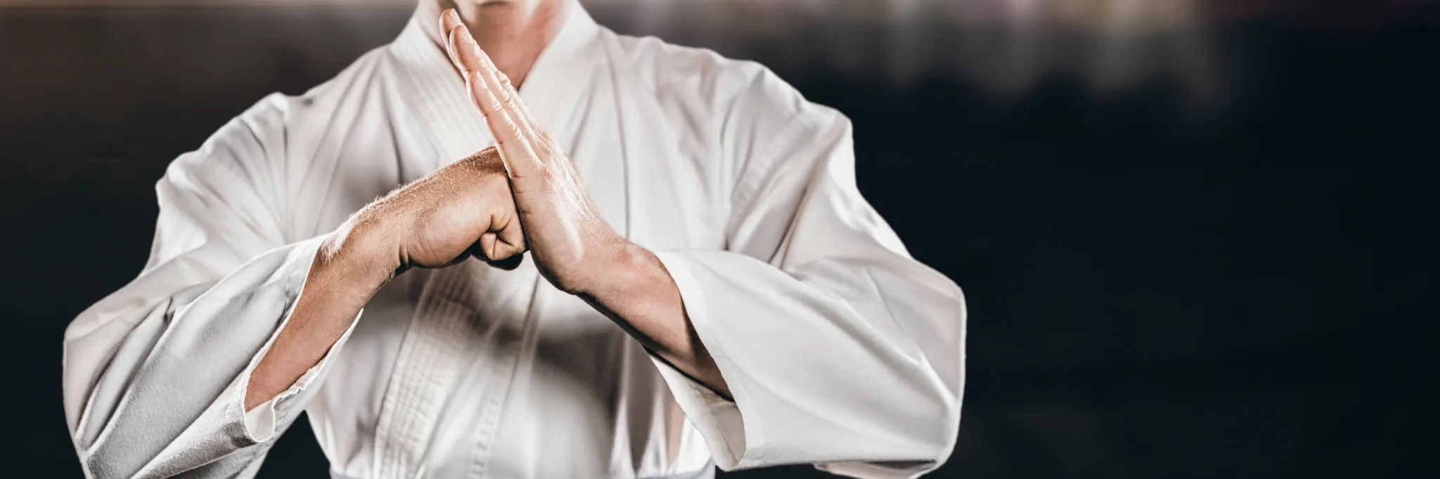 Sydney Shotokan Gasshuku