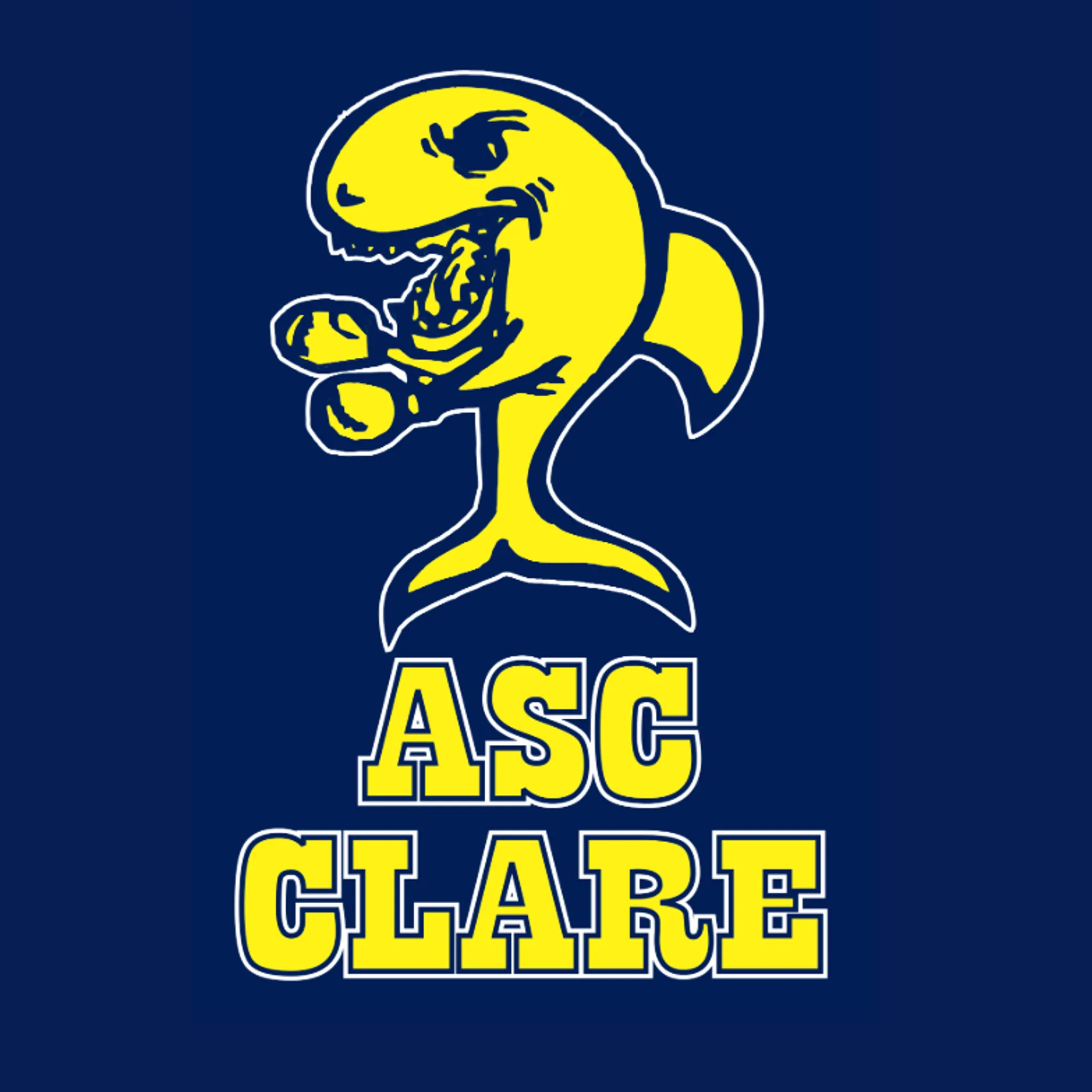 Clare Amateur Swimming Club Inc.