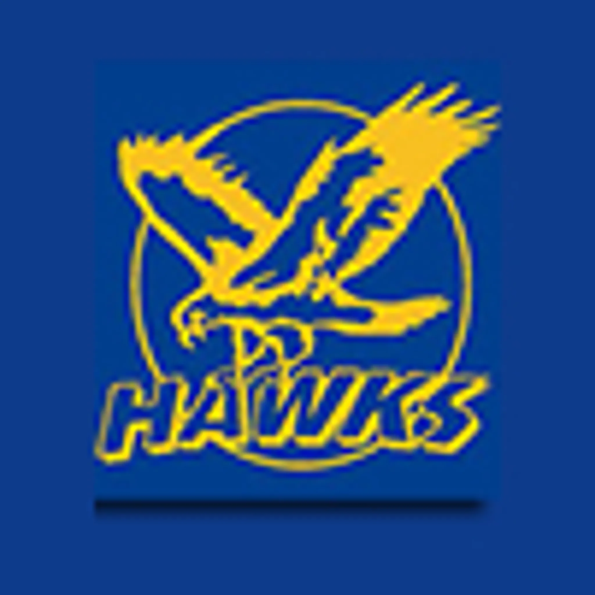 Gosnells Junior Football Club