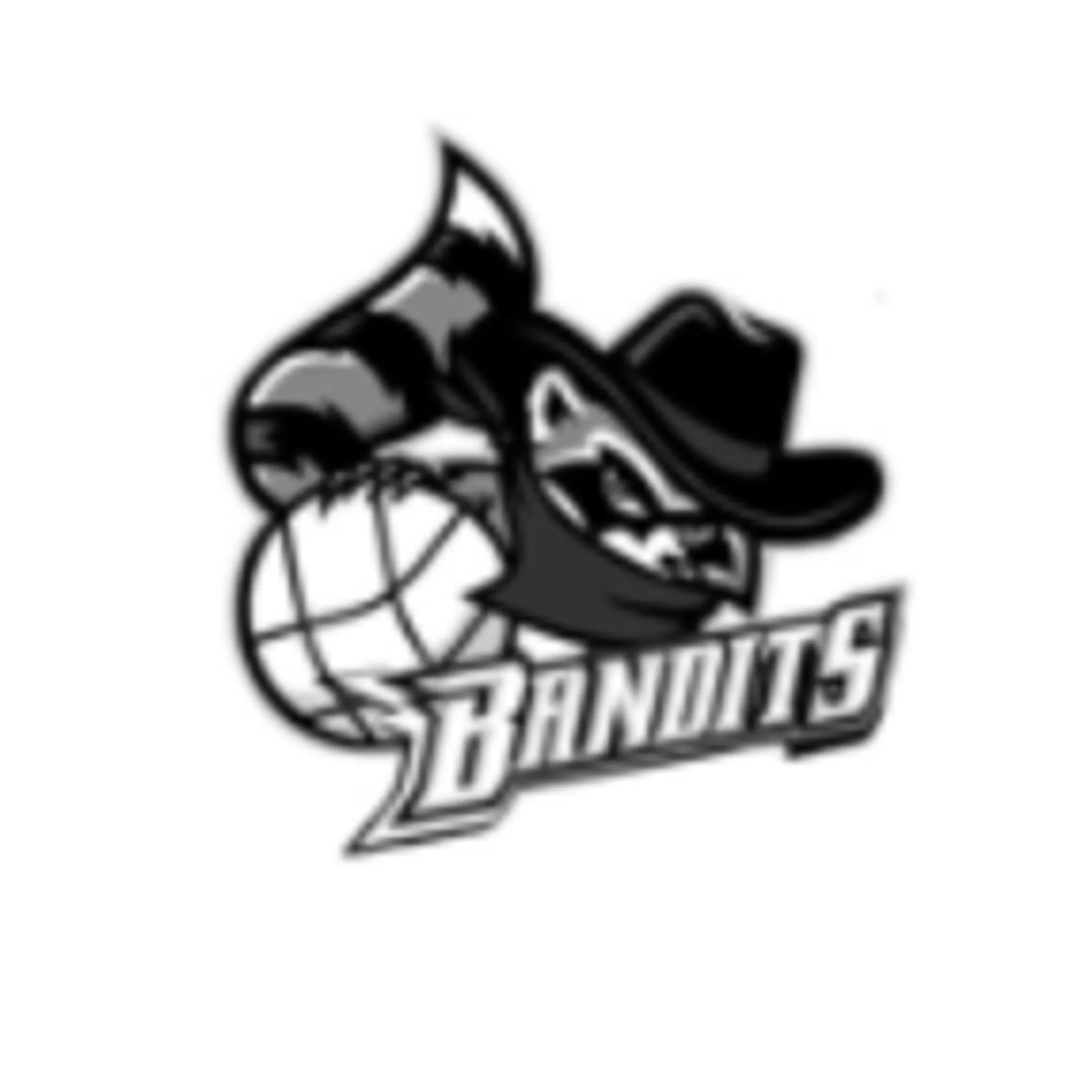 Bandits Netball Club