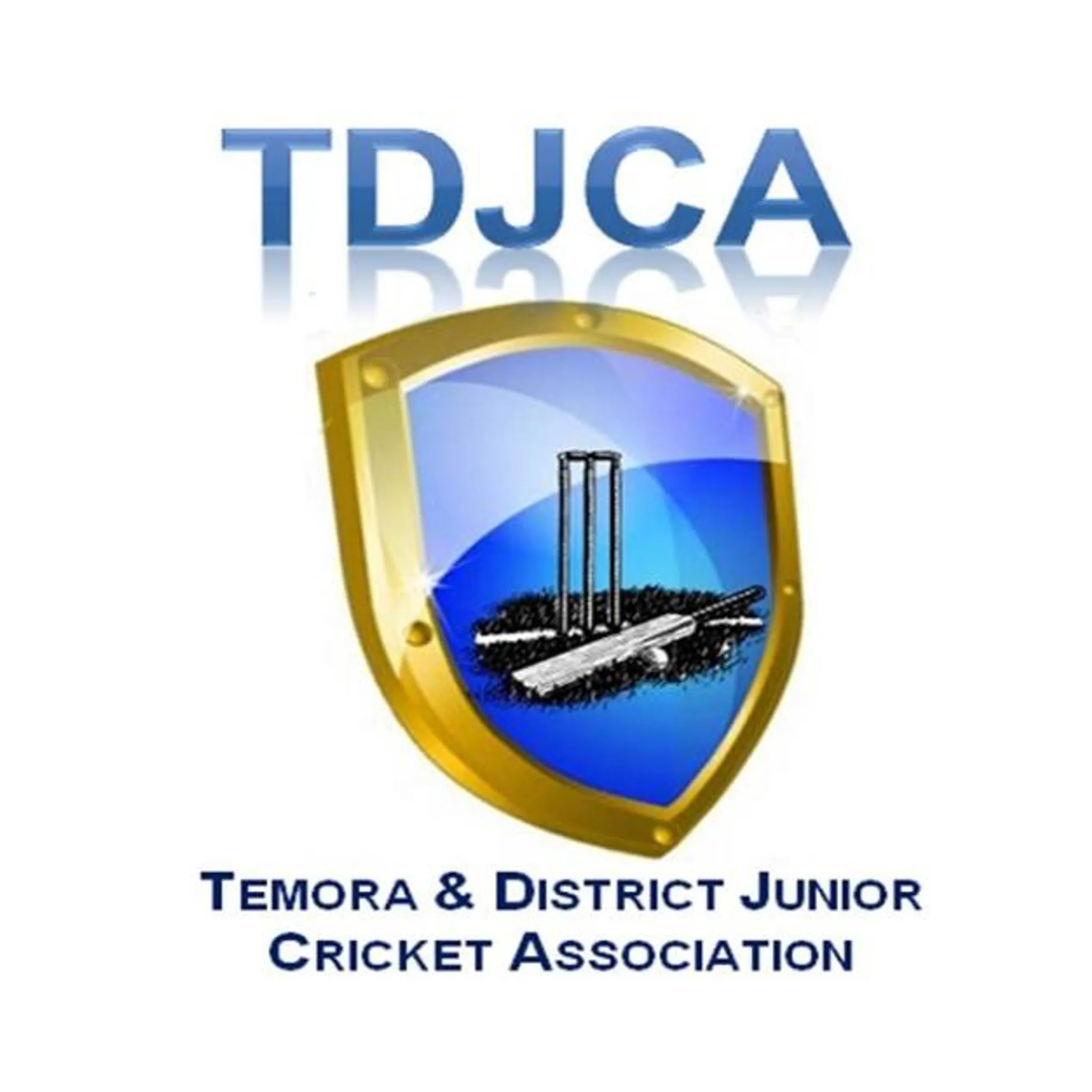 Temora & District Junior Cricket Association