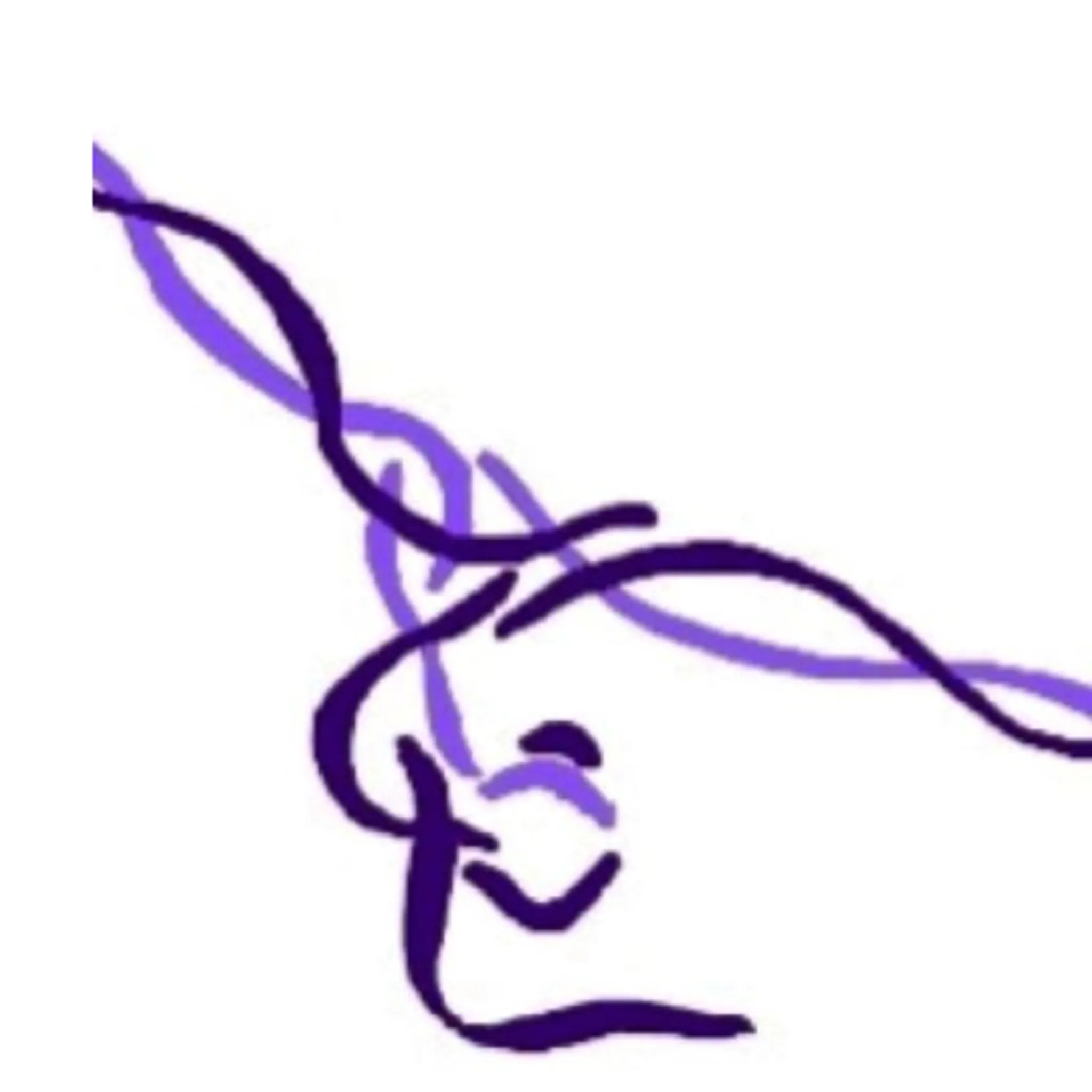 Gawler Calisthenics Club