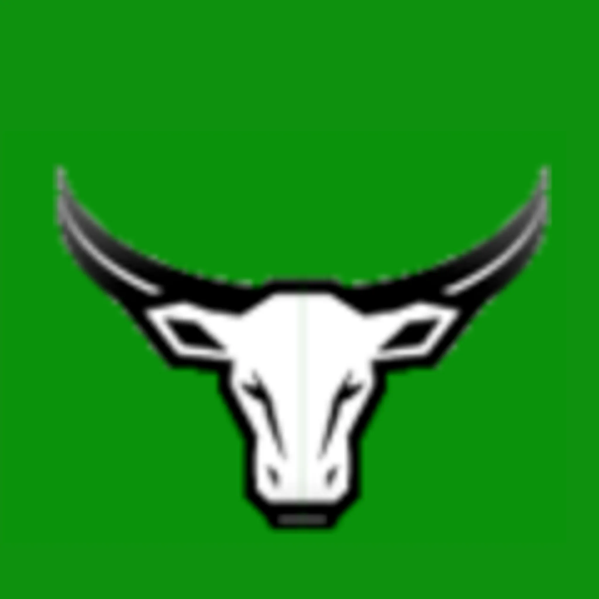 Bulimba Bulls Hockey Club