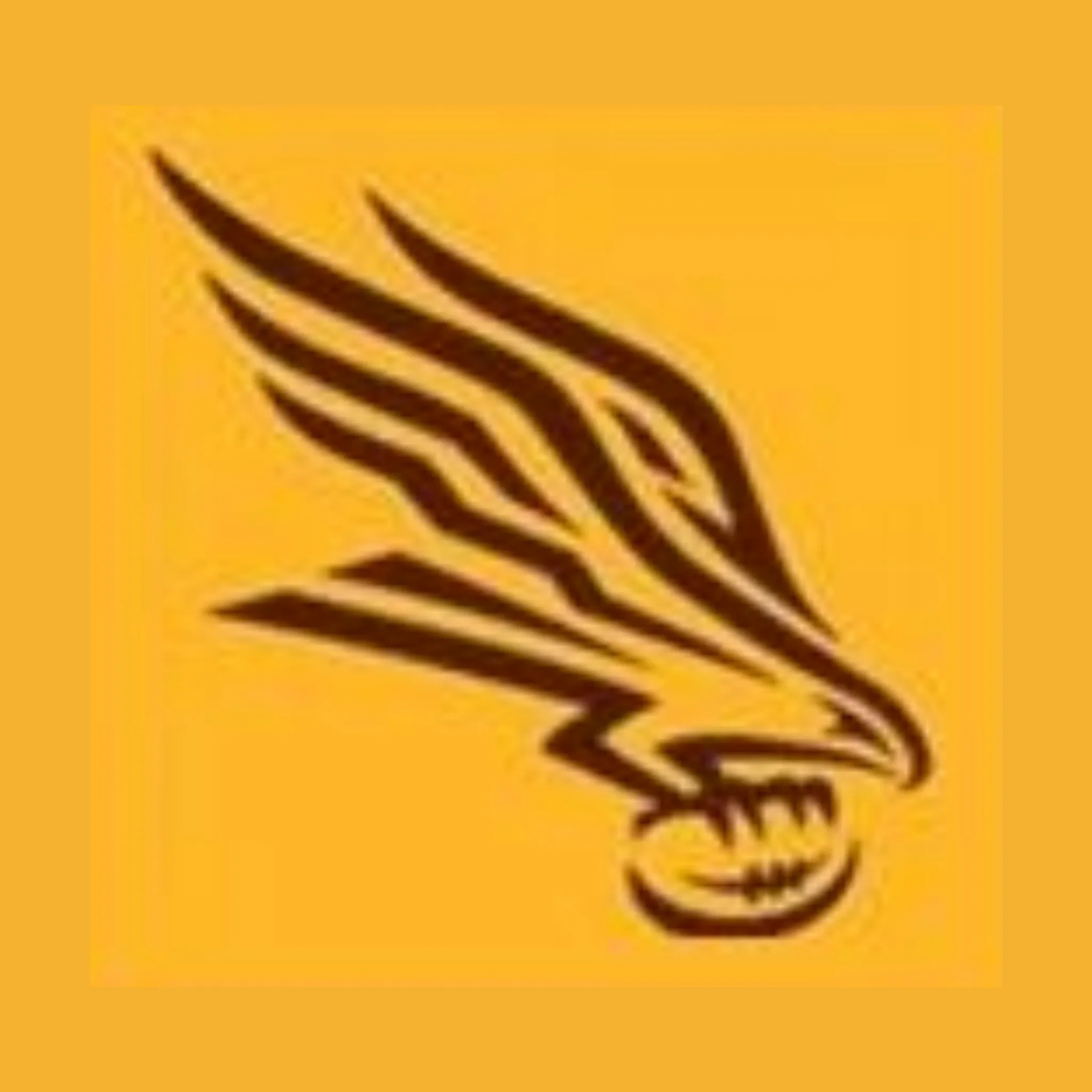 Barooga Football Netball Club