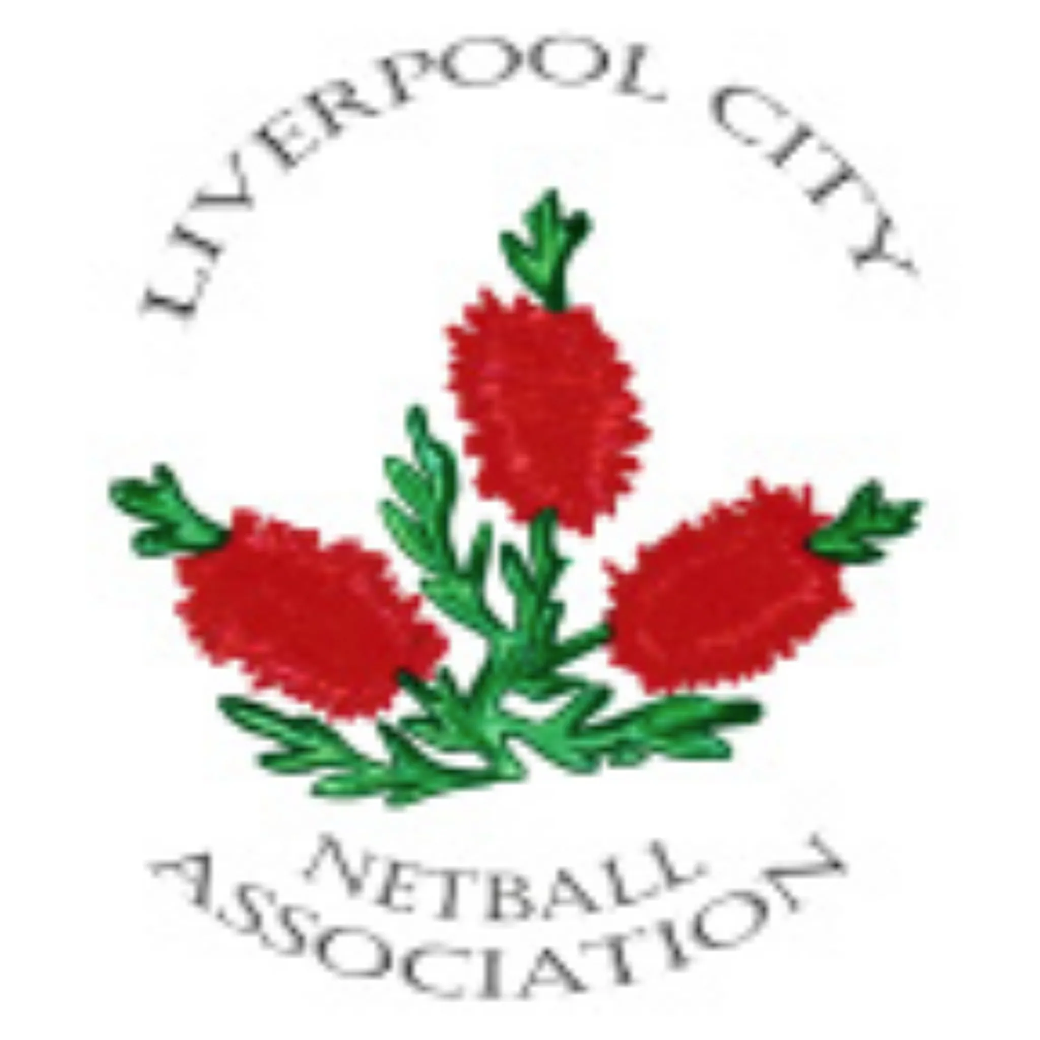 Moorebank Netball Club