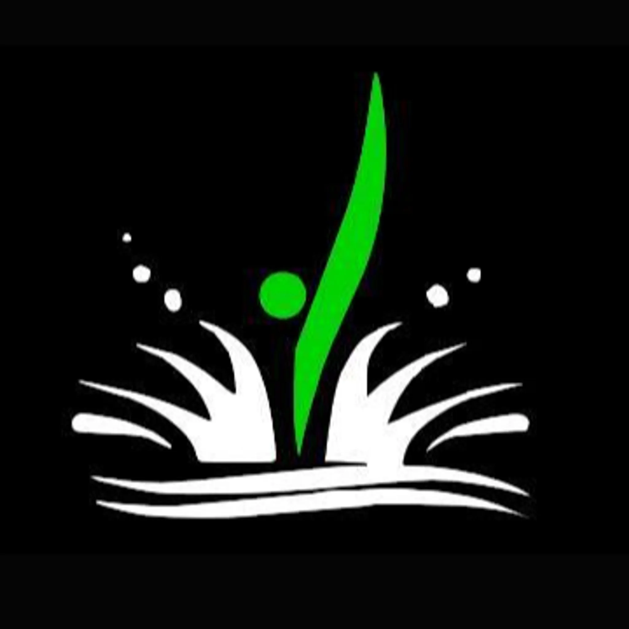 Coffs Harbour Masters Swimming Inc.