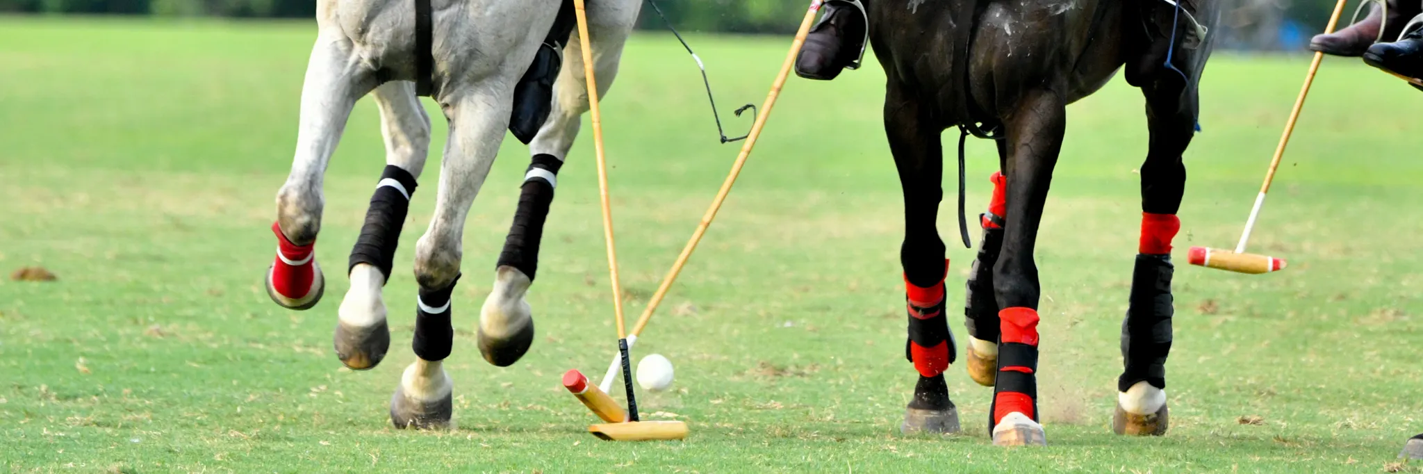 Riverlands Private Polo Lessons