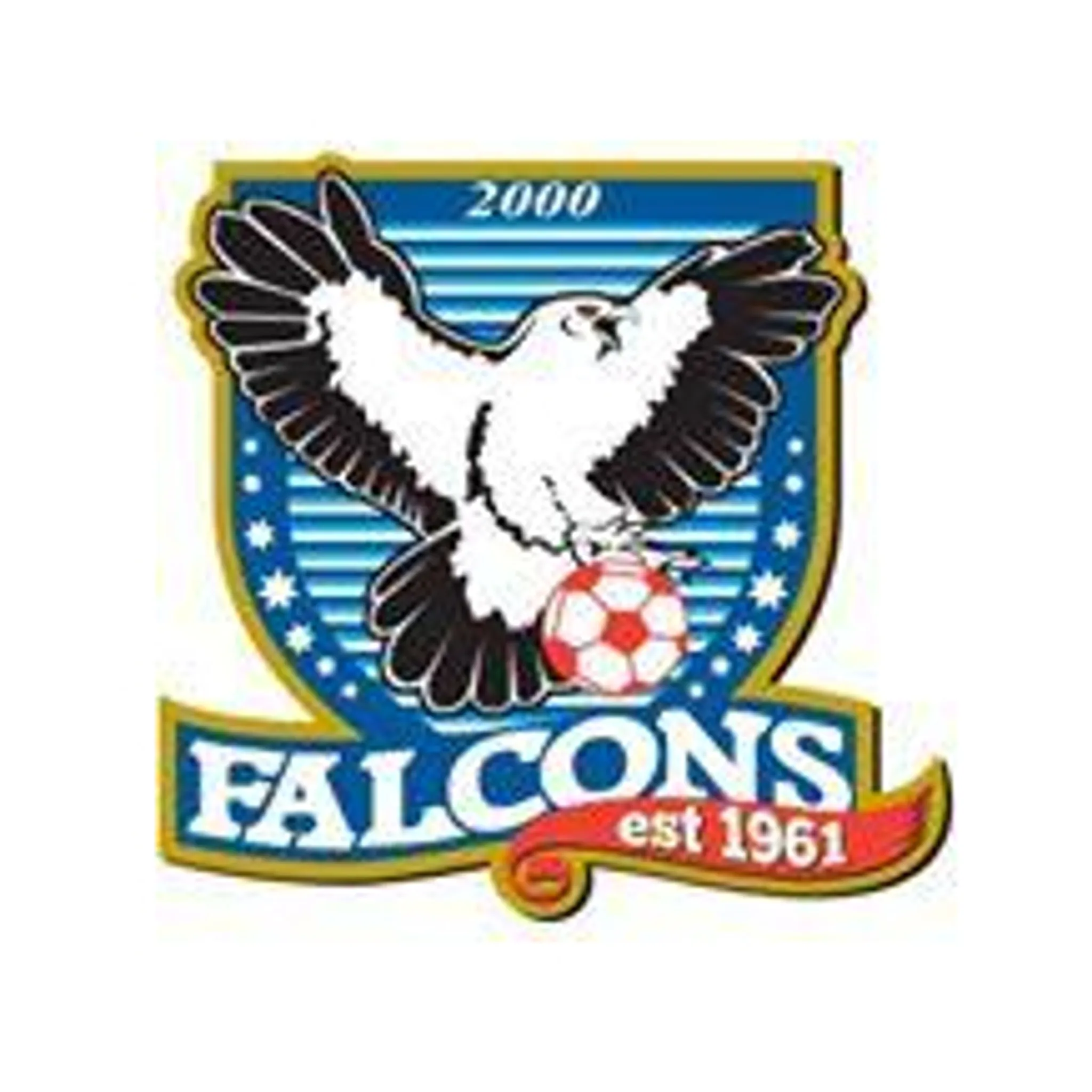 Falcons 2000 Soccer Club