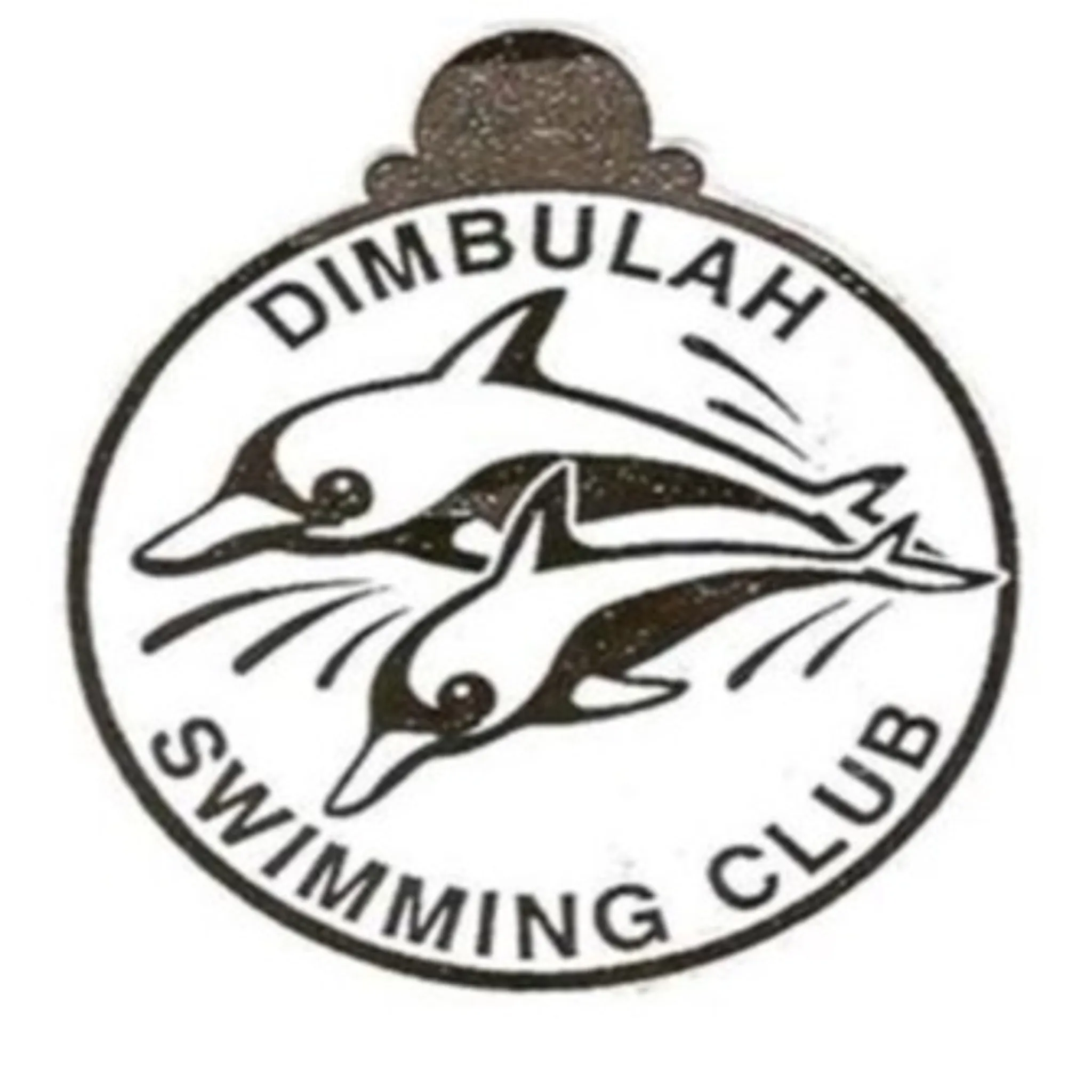 Dimbulah Amateur Swimming Club 