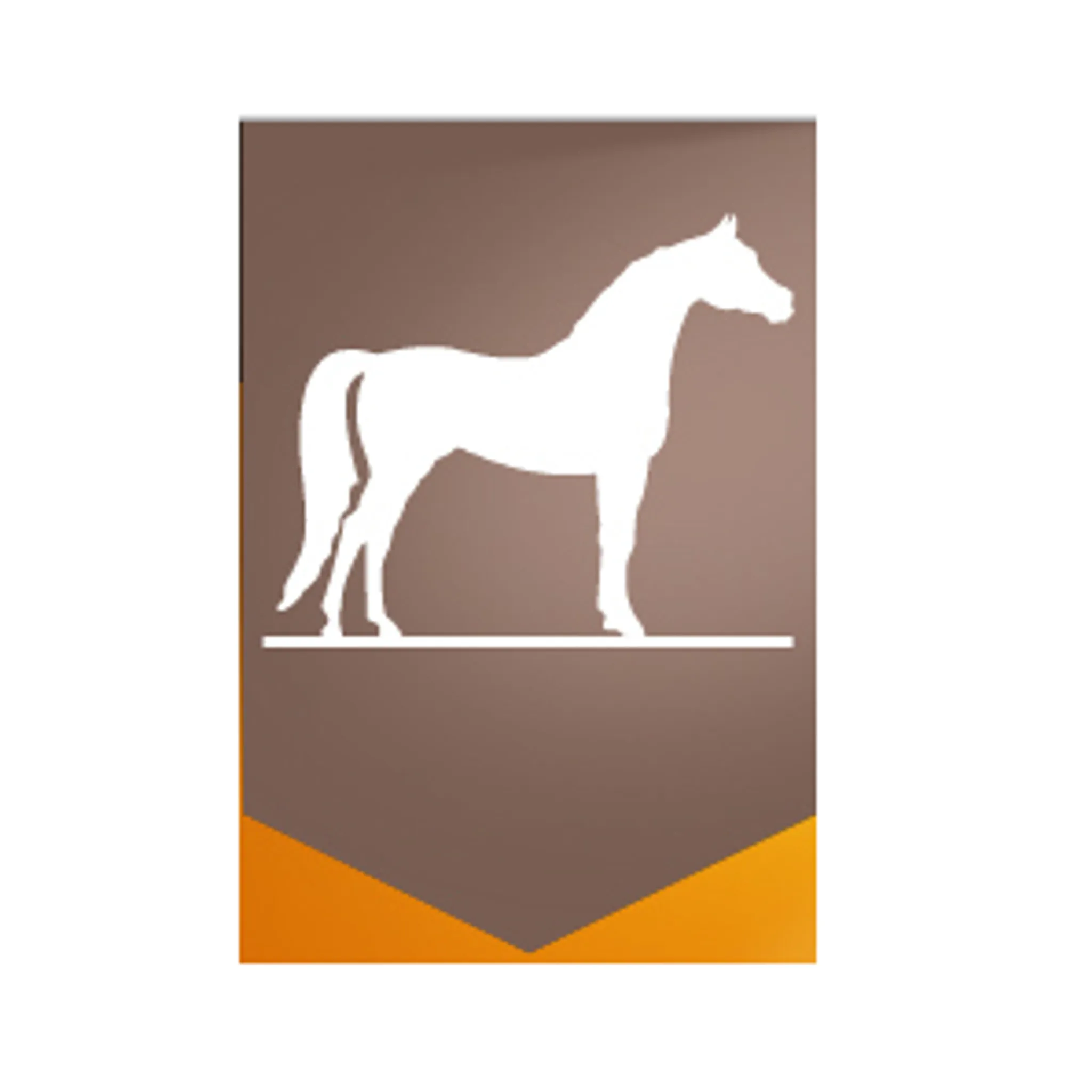 Hunter Valley Horse Riding & Adventures