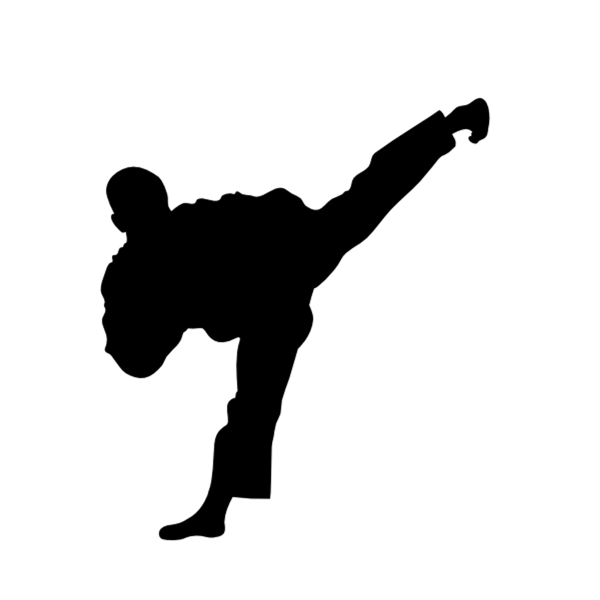 Burridge Martial Arts Academy O'Connor