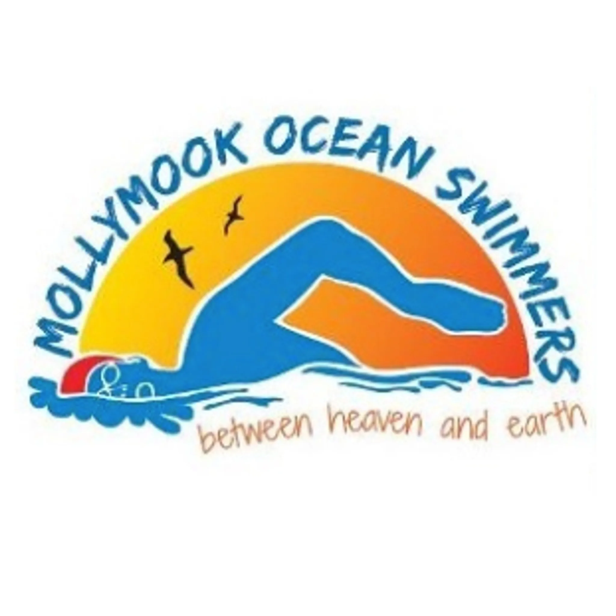Mollymook Ocean Swimmers