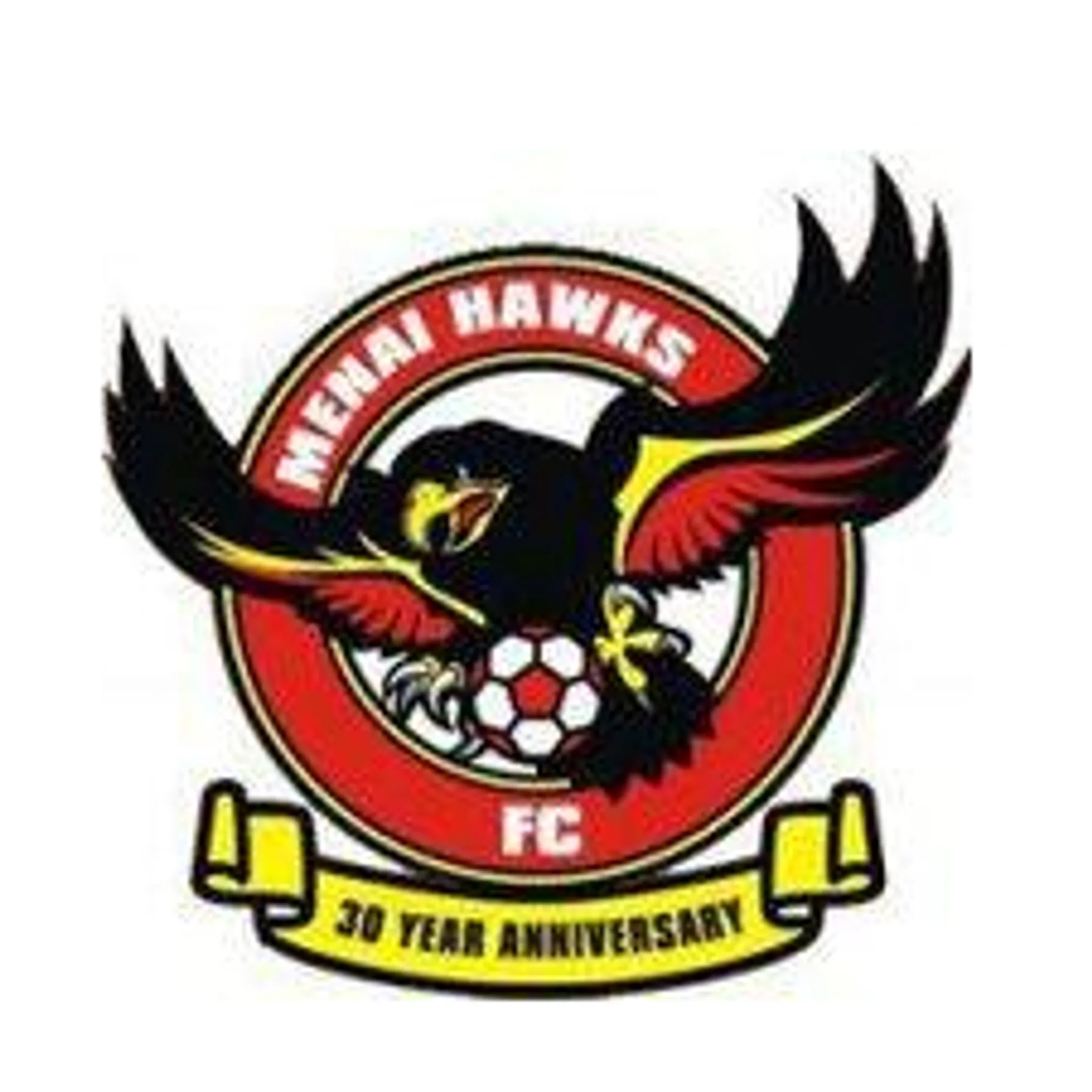 Menai Hawks Football Club