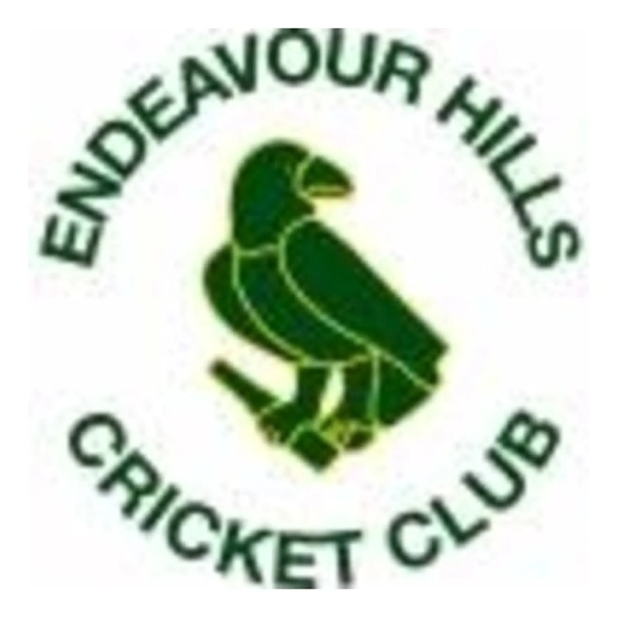 Endeavour Hills Cricket Club