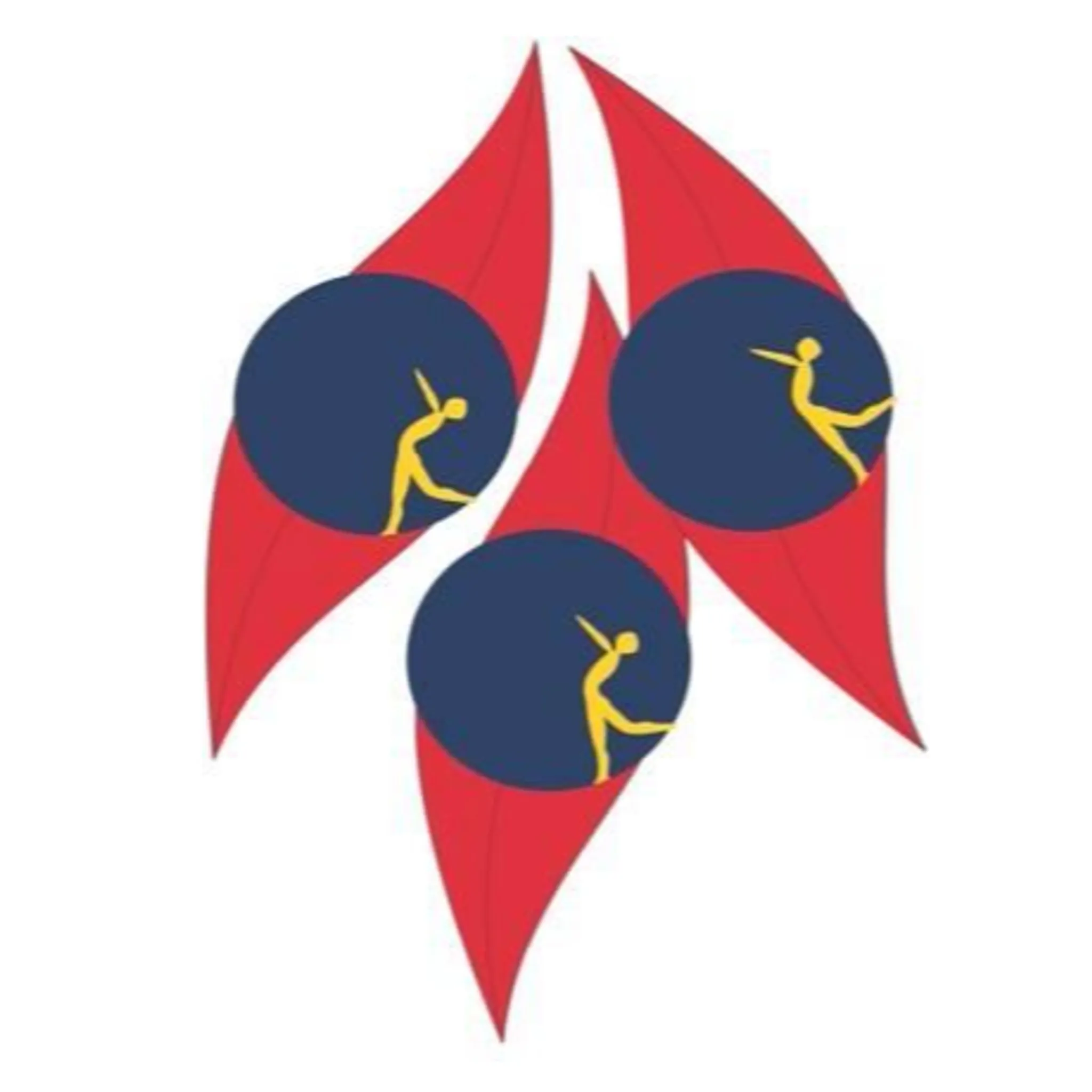 South Australian Ice Skating Association