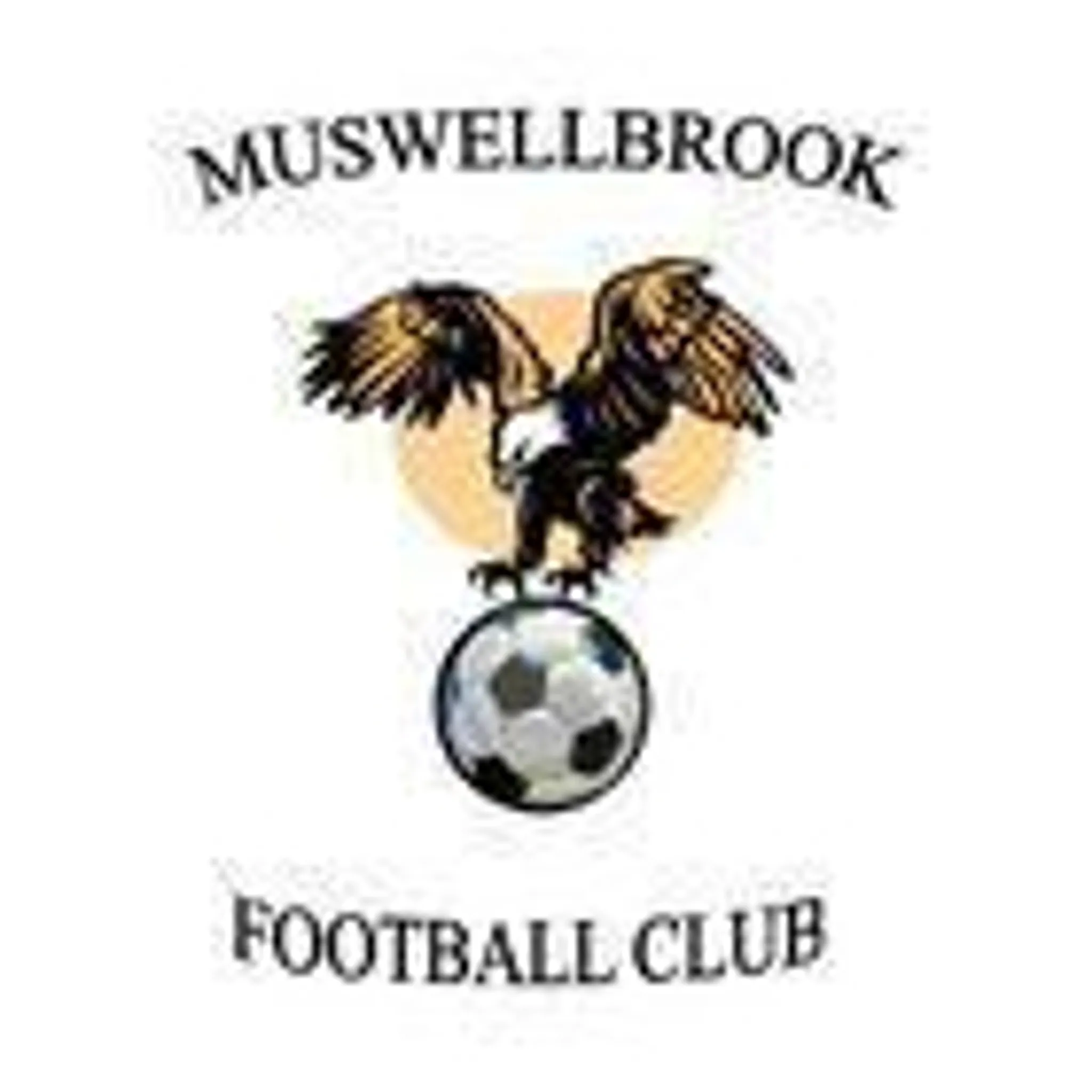 Muswellbrook FC 