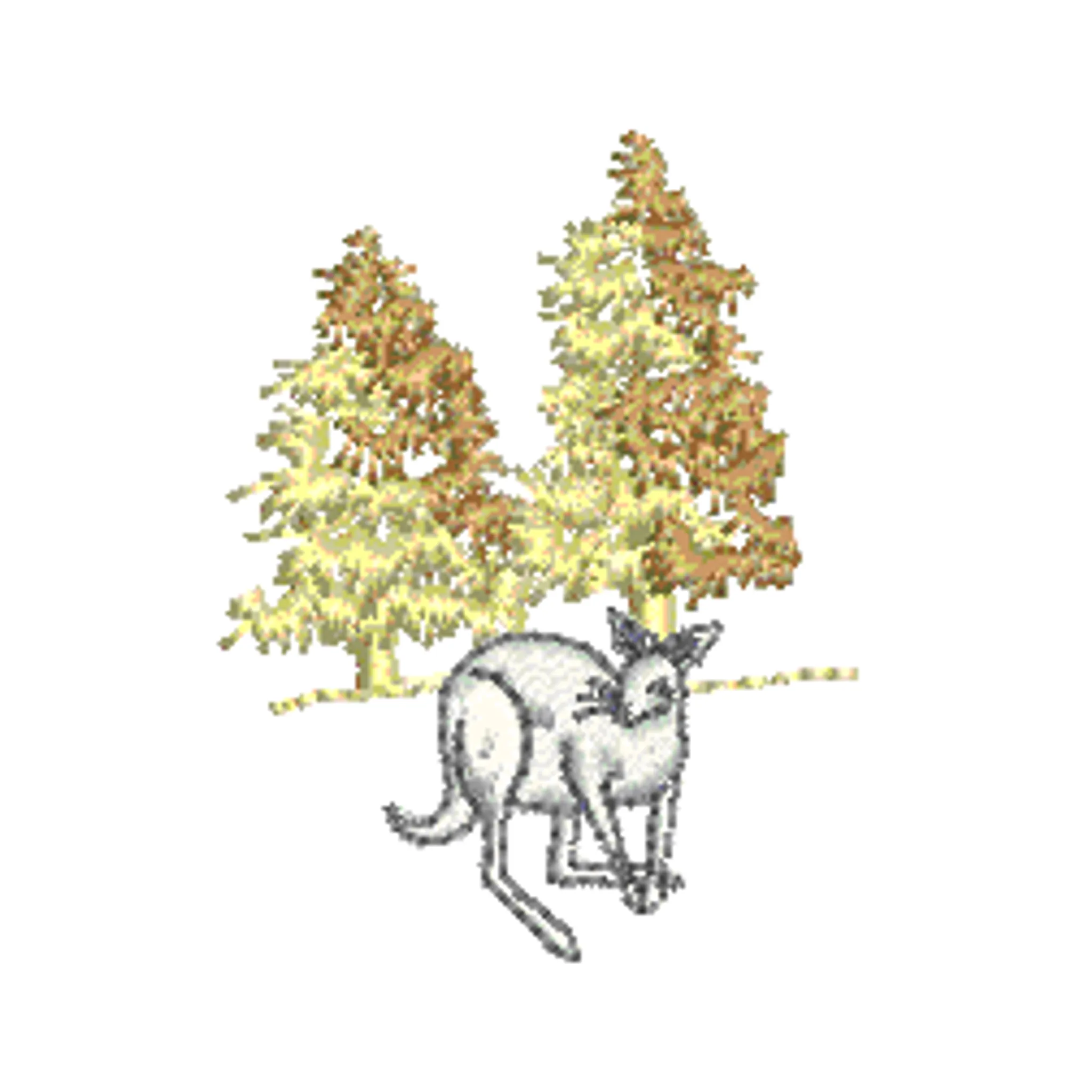 Narrandera Golf Club