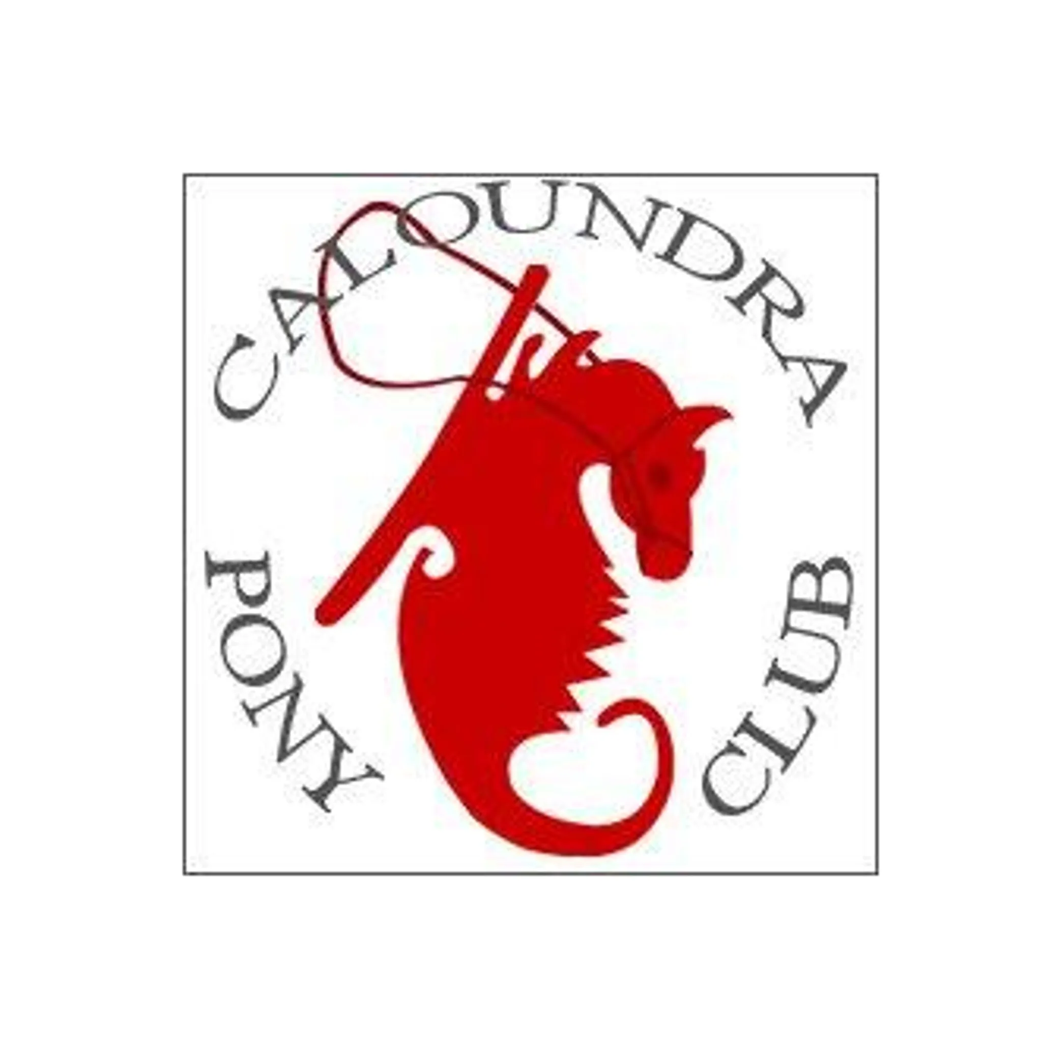 Caloundra Pony Club