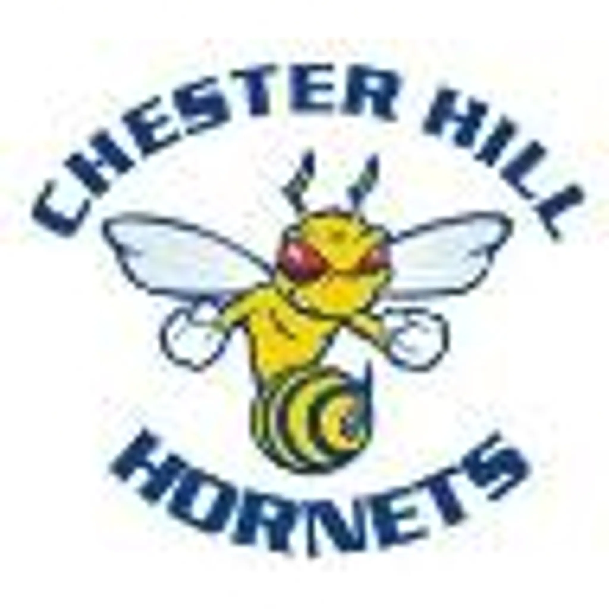 Chester Hill Hornets Netball Club