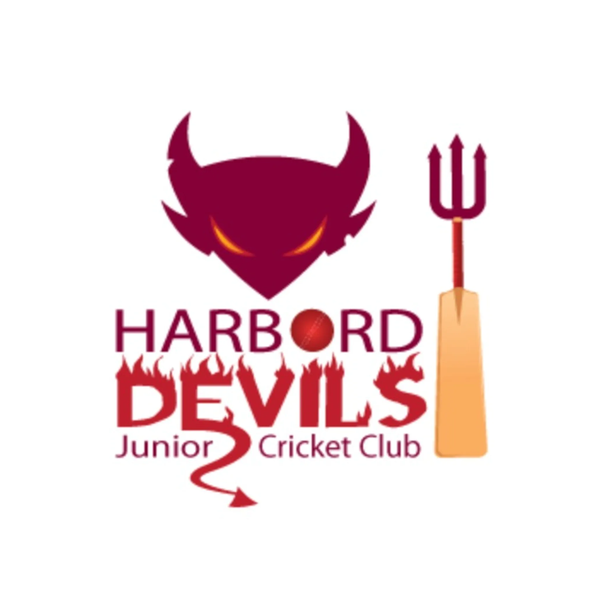 Harbord Devils Junior Cricket Club