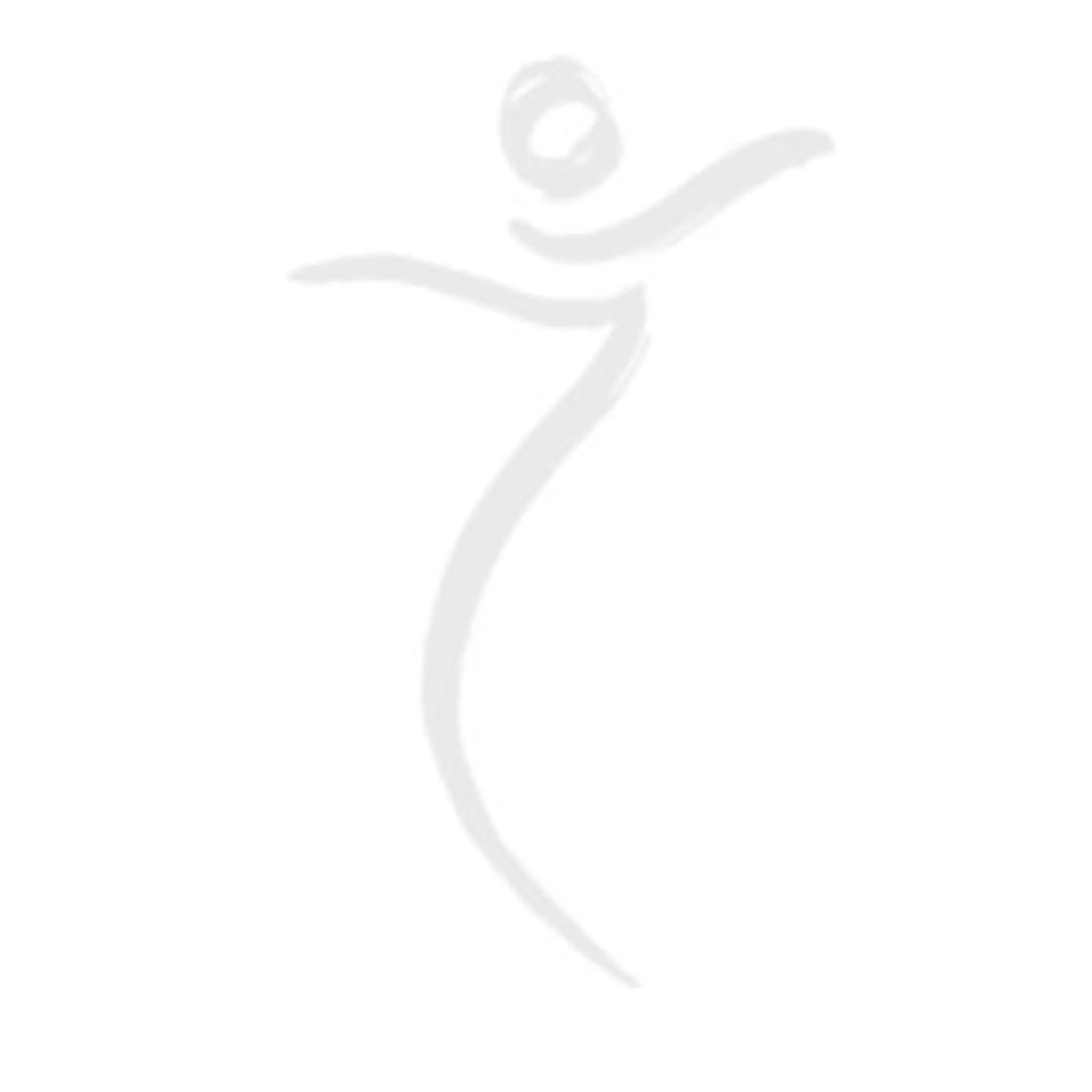 Academy Of Wu Dao Gong