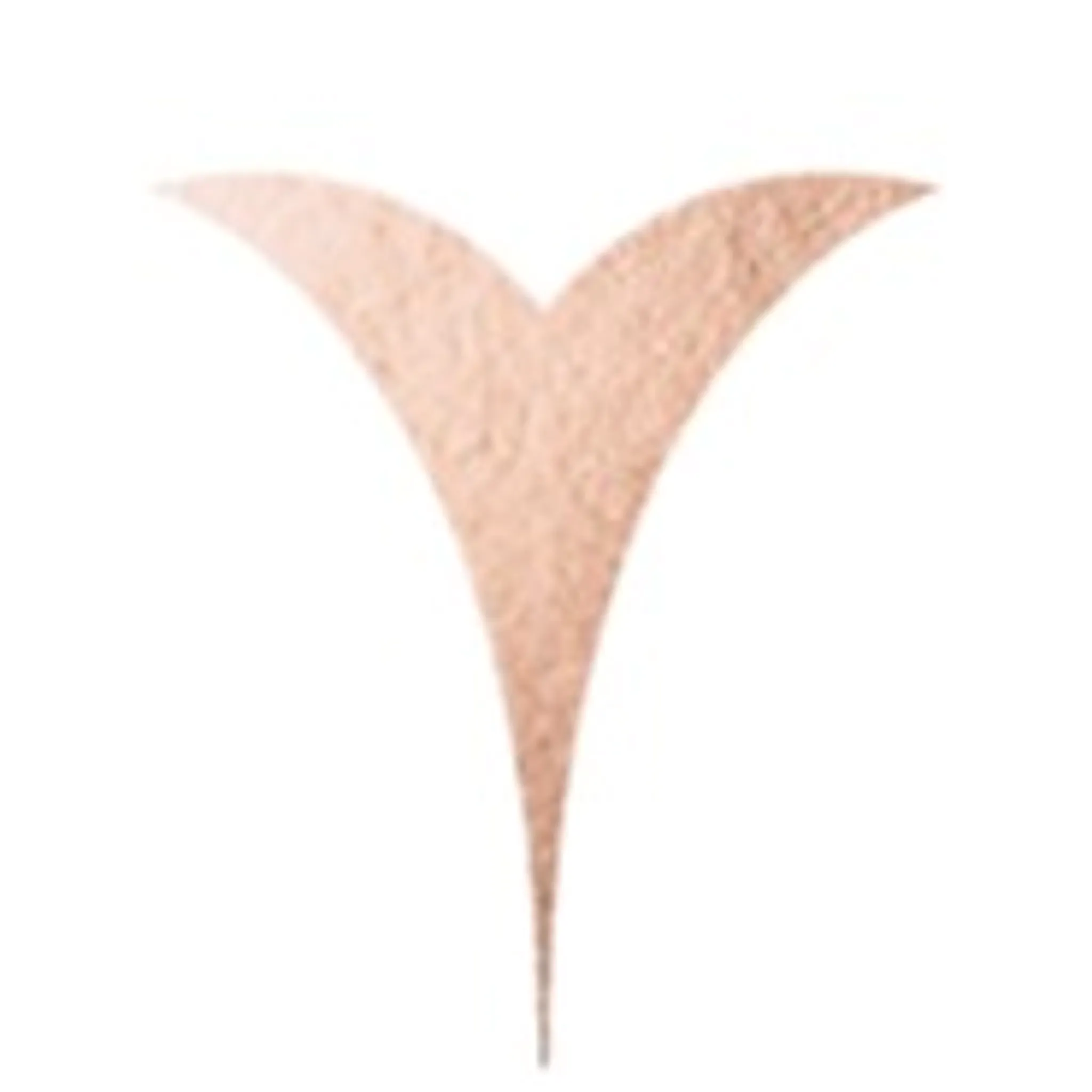 Soul Pilates and Barre