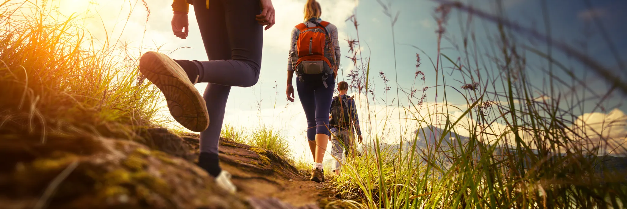 The Wanderers Walking Group - Kelly's Bush