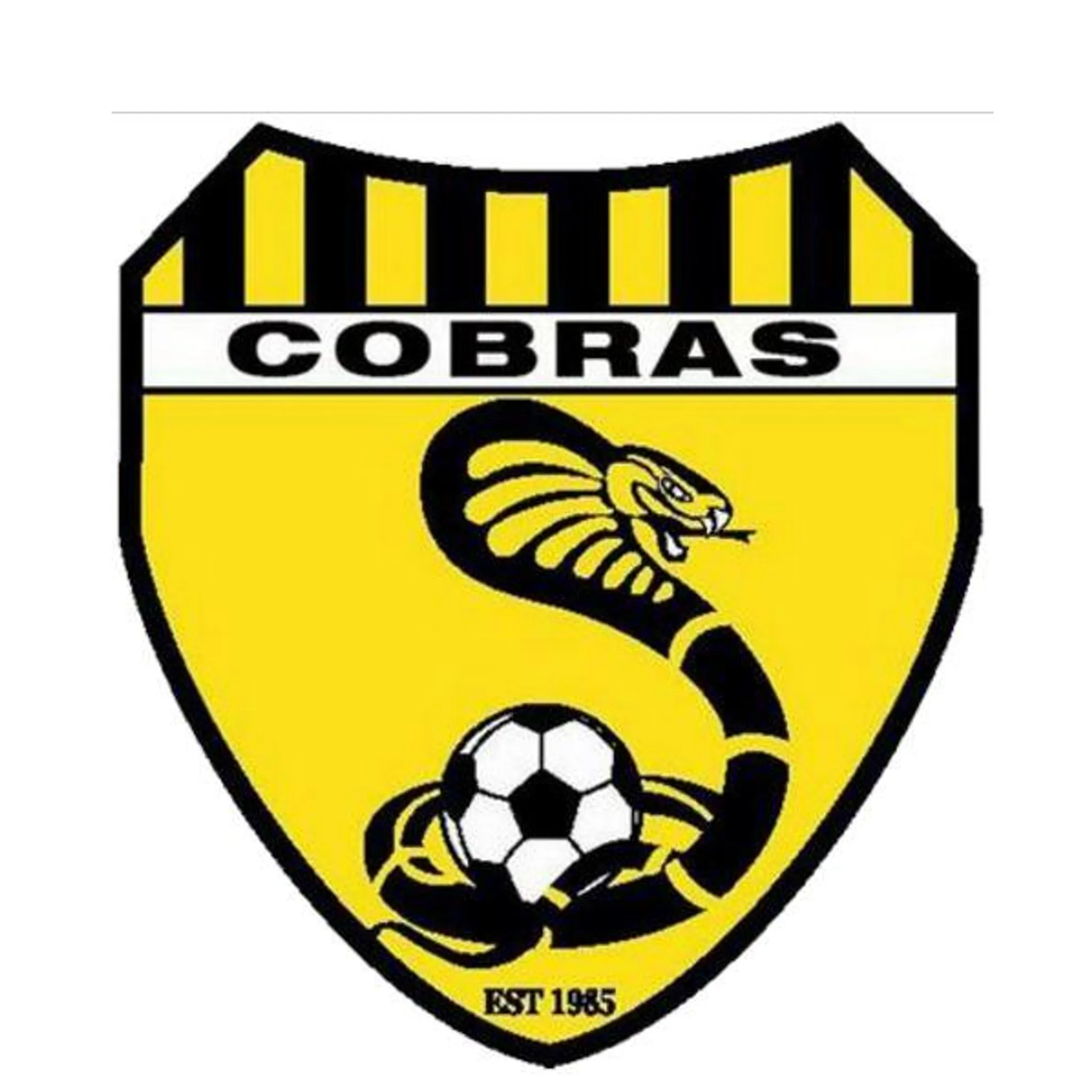 Caulfield United Cobras Soccer Club