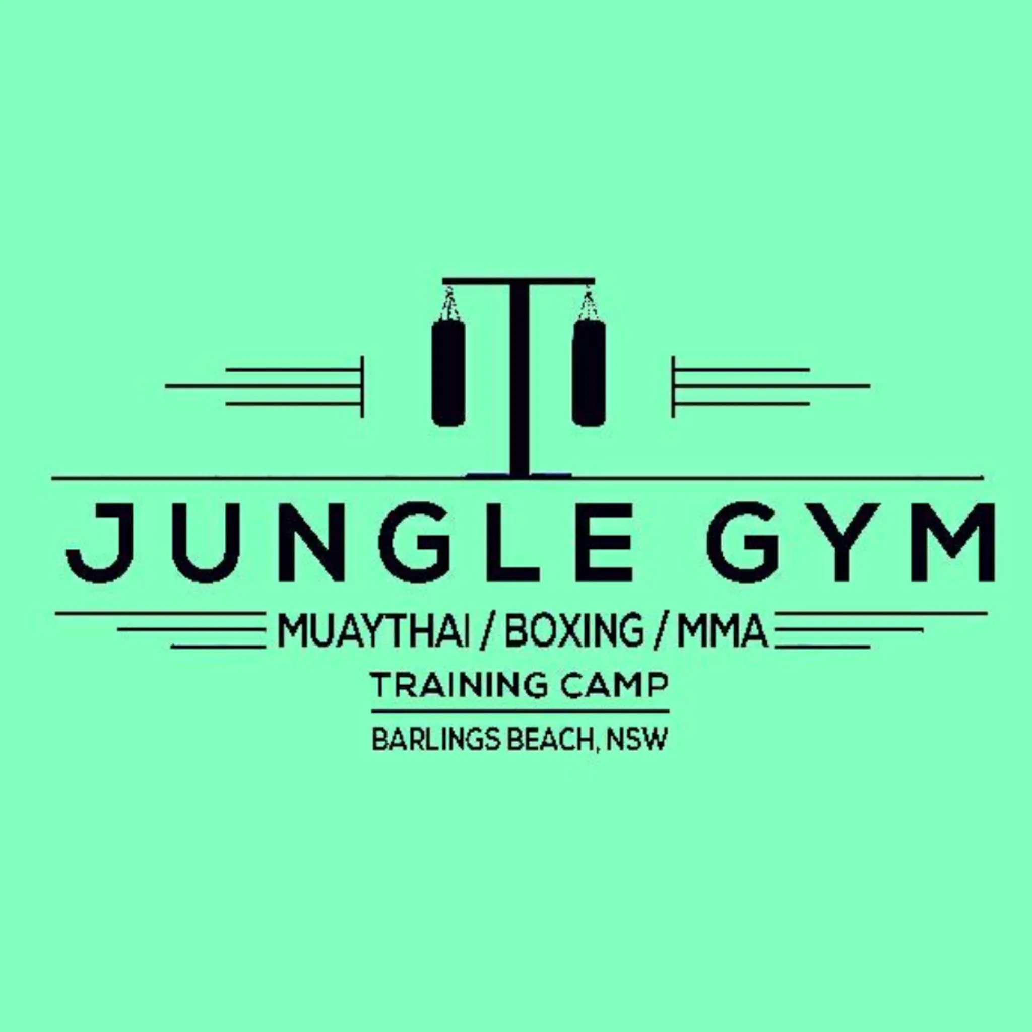 Jungle Gym Training Camp