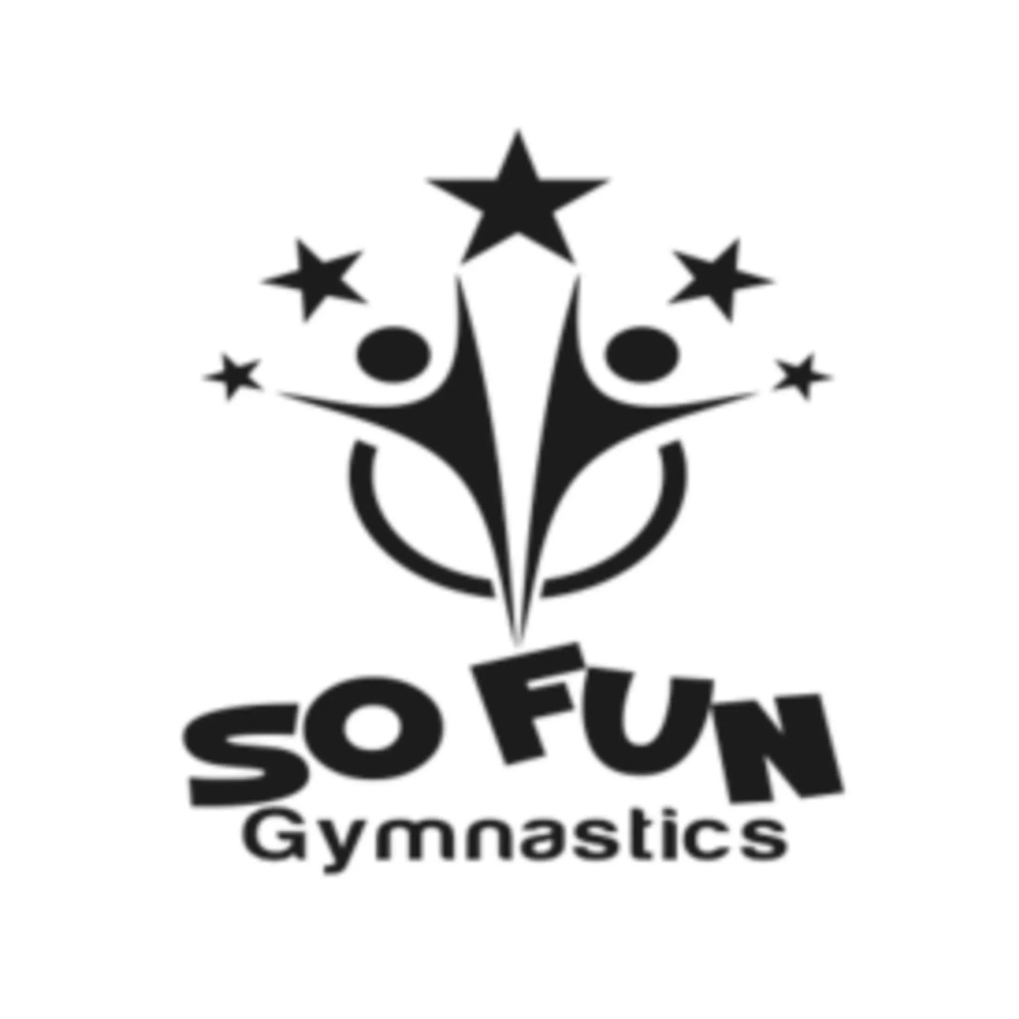 So Fun Gymnastics